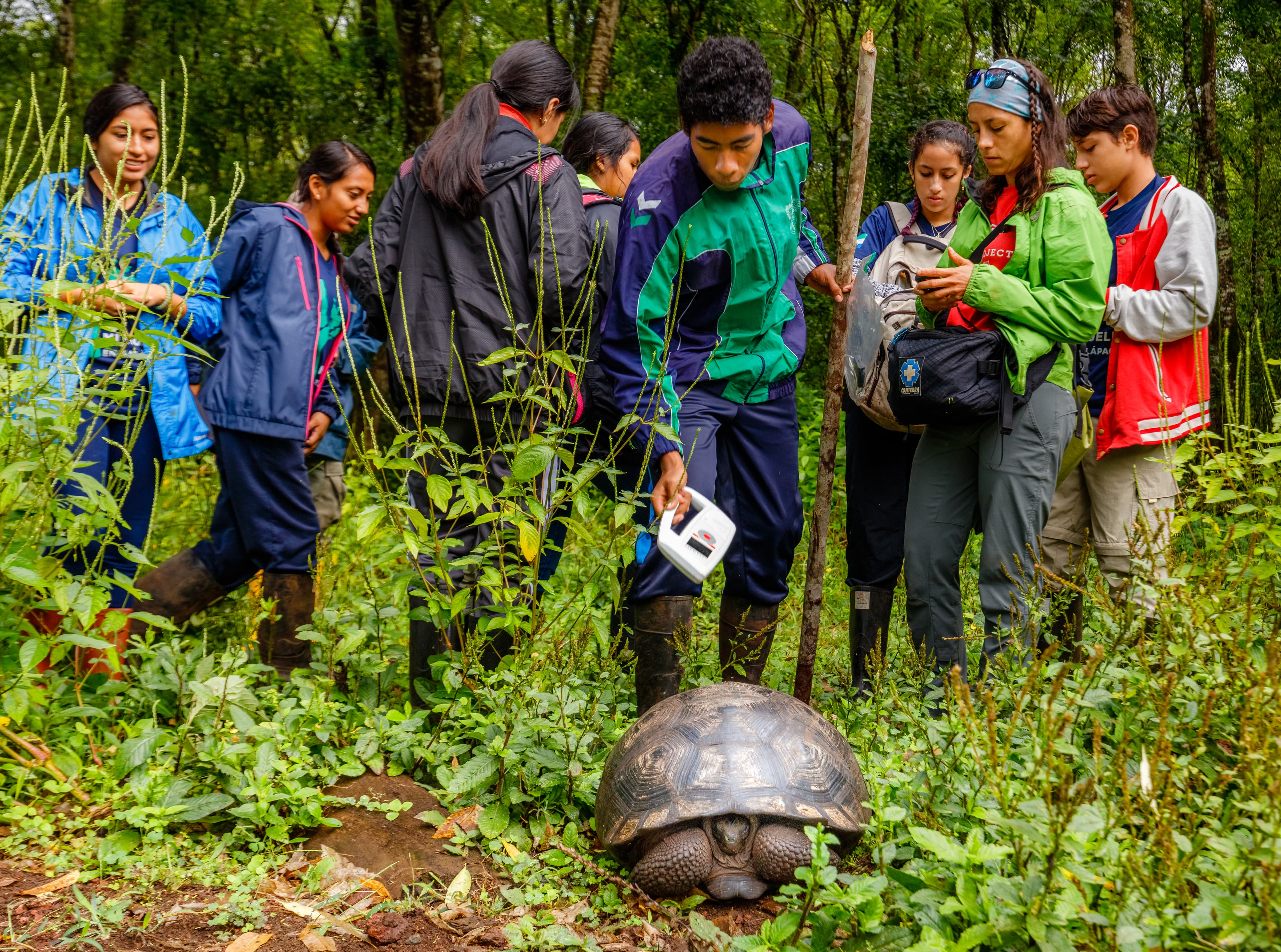 Student Bryan Lemos, under the close watch of a Galapagos National Park ranger, holds a small machine near a tortoise to check if there is a chip implanted.