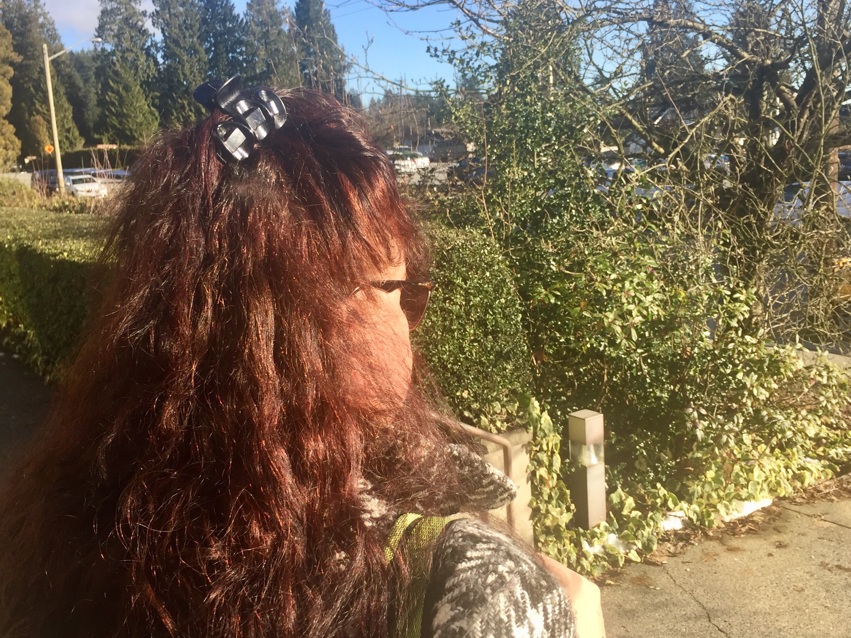 The profile of a women with long reddish brown hair.