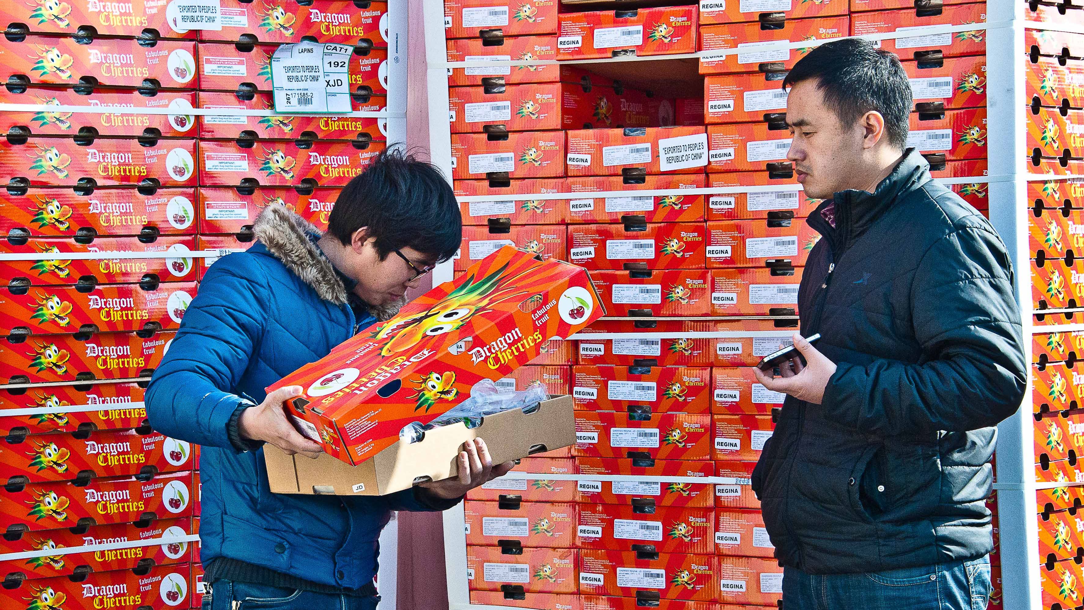 Opening up a box of imported cherries.