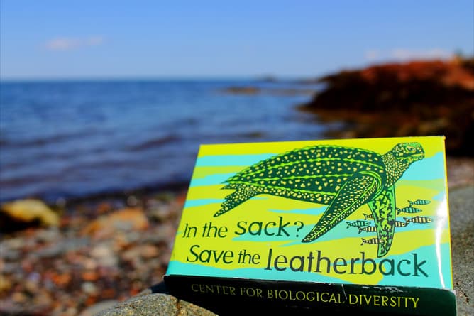 Condoms mean supporting endangered species and safe sex at the same time.