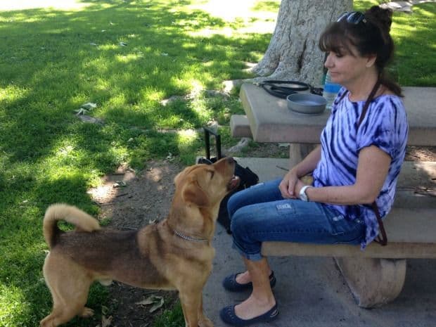 Bodie in training with April Morley