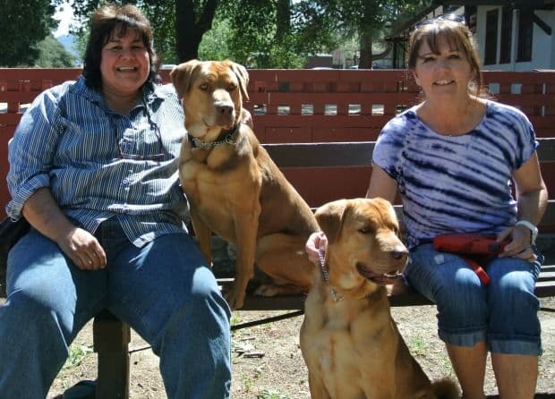 Bodie and Luke with their trainers Teresa Miller and April Morley