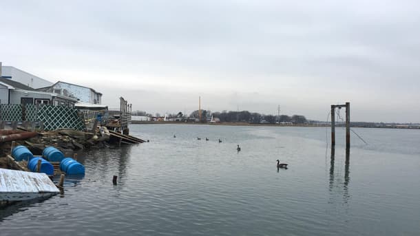 The Rumney Marsh, a haven to both birds and fish, sits in a highly industrial area north of Boston. For decades, the marsh's welfare has been in jeopardy due to its close proximity to an incinerator.