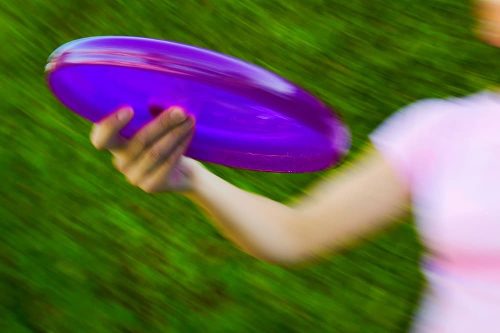 Toss a Frisbee.