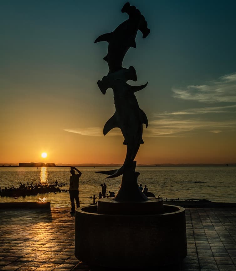 una visa del mar de cortes