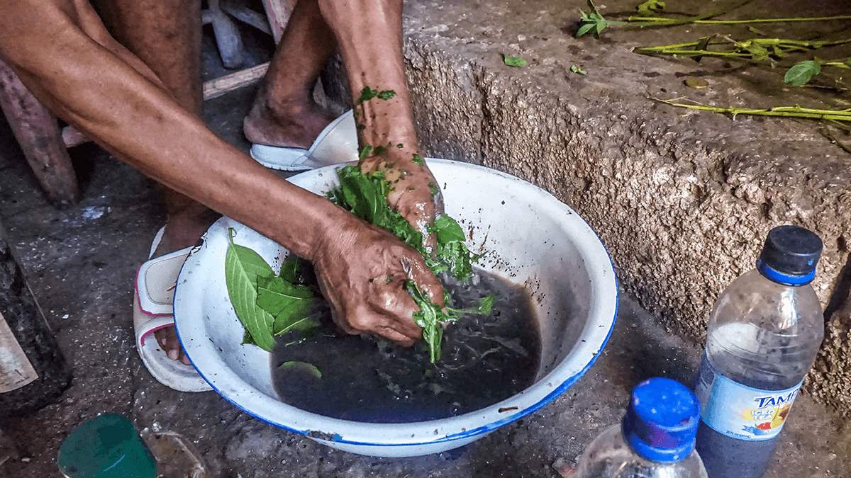 a woman prepares herbs for a treatment