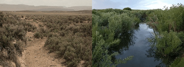 NV streams wet and dry