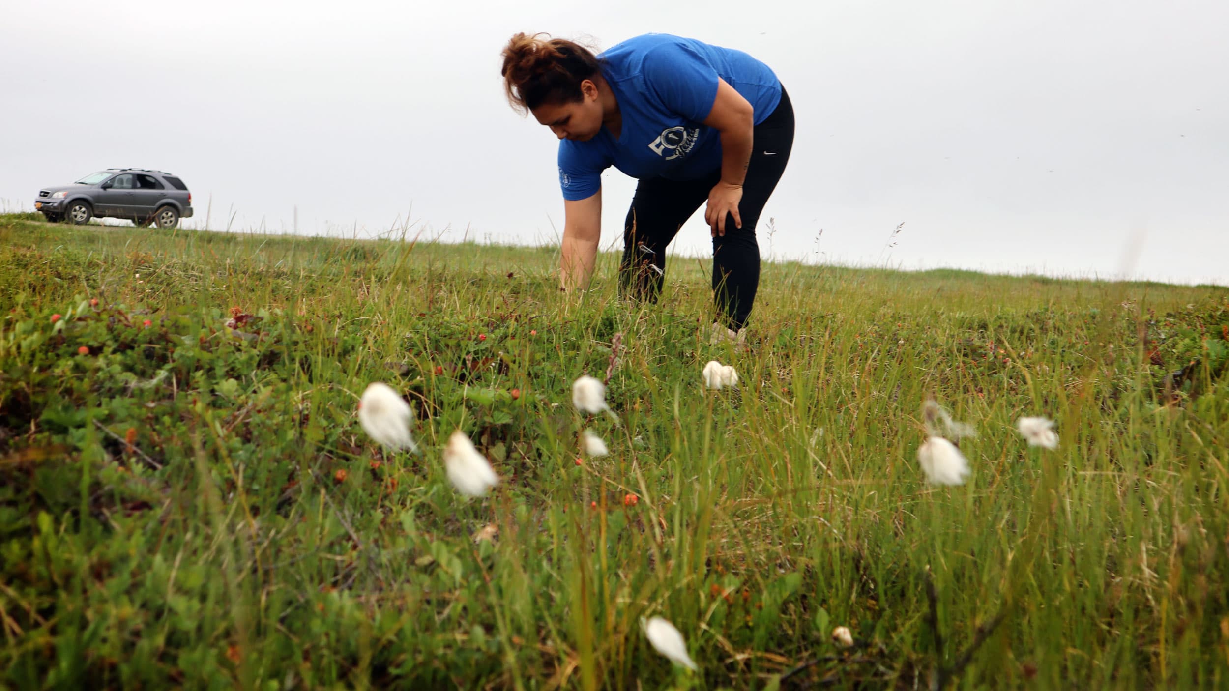 A young woman bends at the waist to pick up a berry out of a field. Behind her is a gray, cloudy sky.