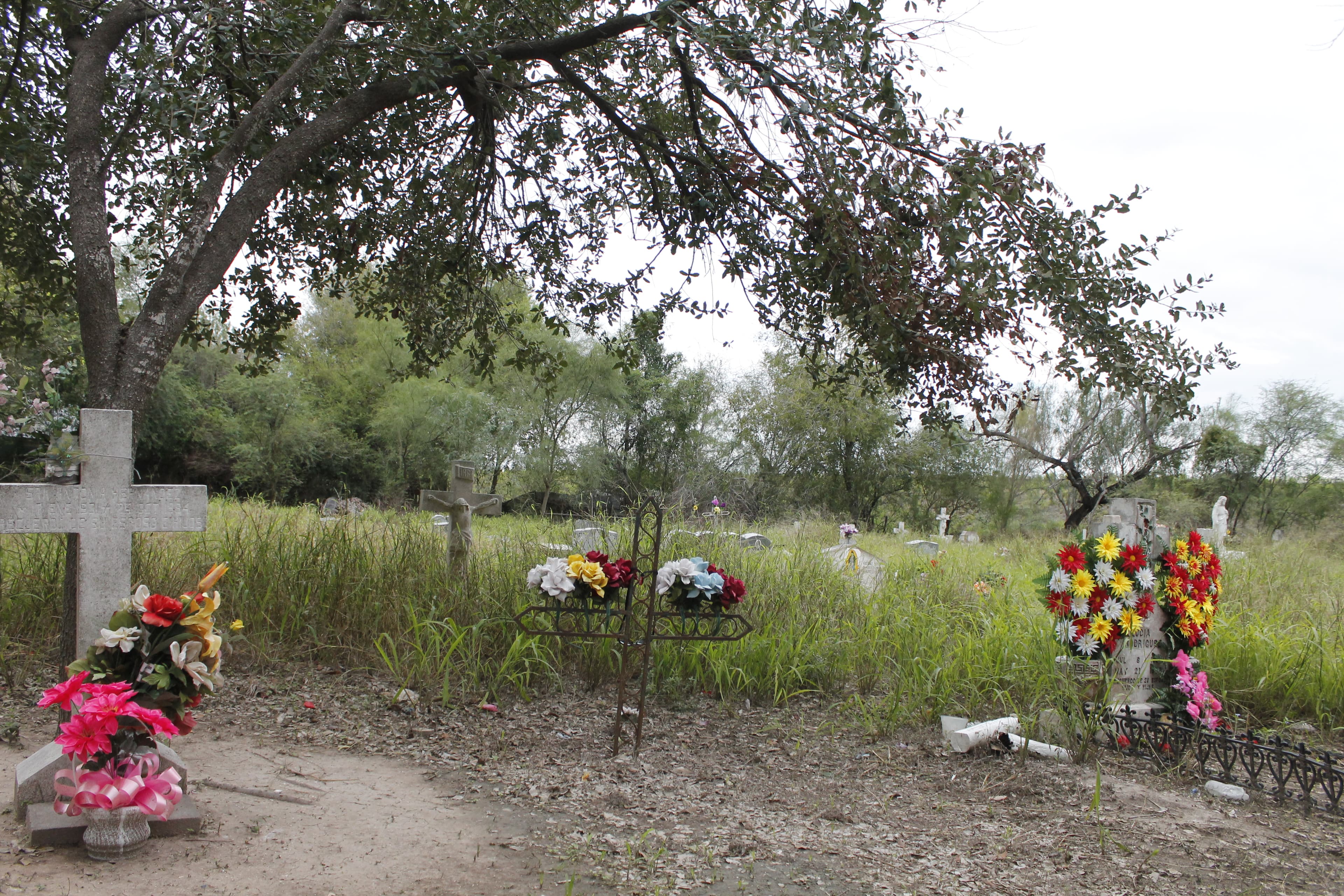 Graves in cemetary with flowers