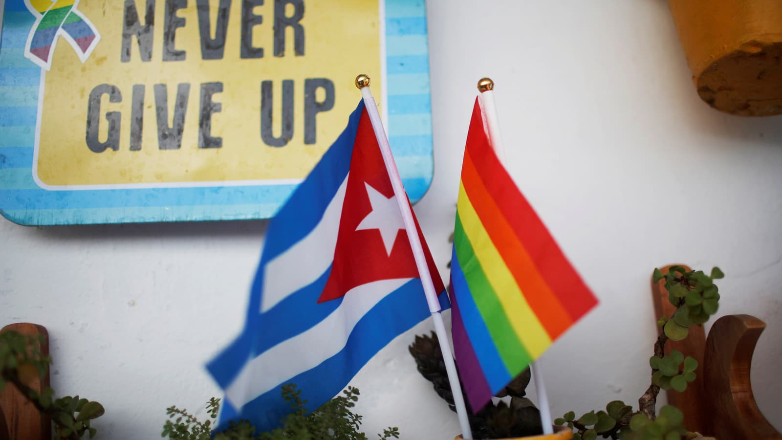 A Cuba flag and a Pride rainbow flag in a cup with nearby sign "Never Give Up."