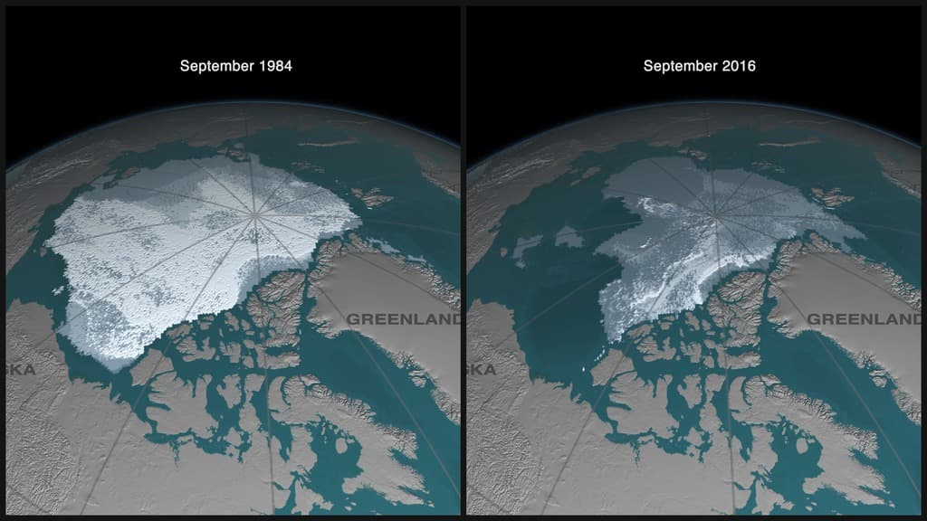 Arctic sea ice decline
