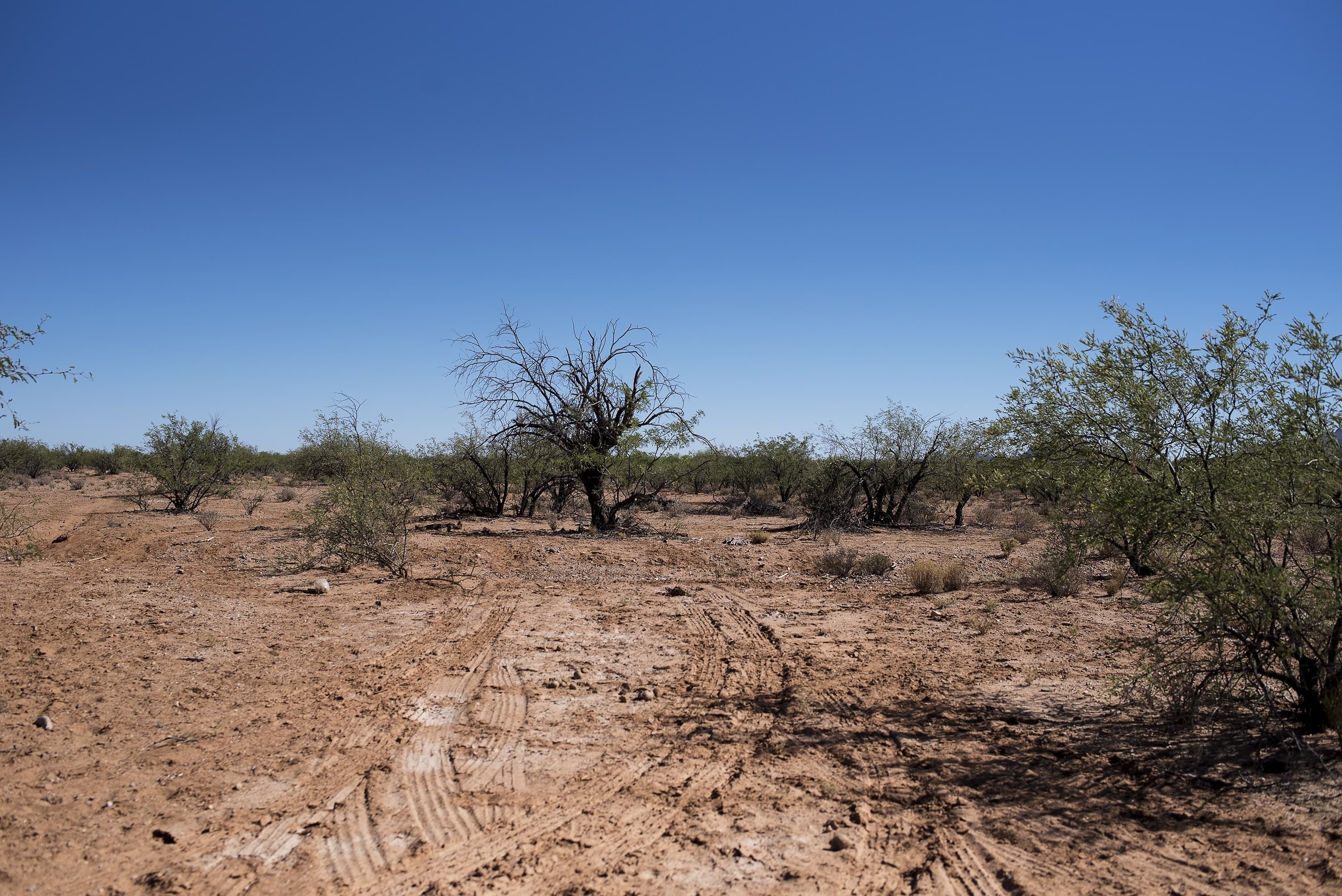 Desert scene with deep grooves in the ground