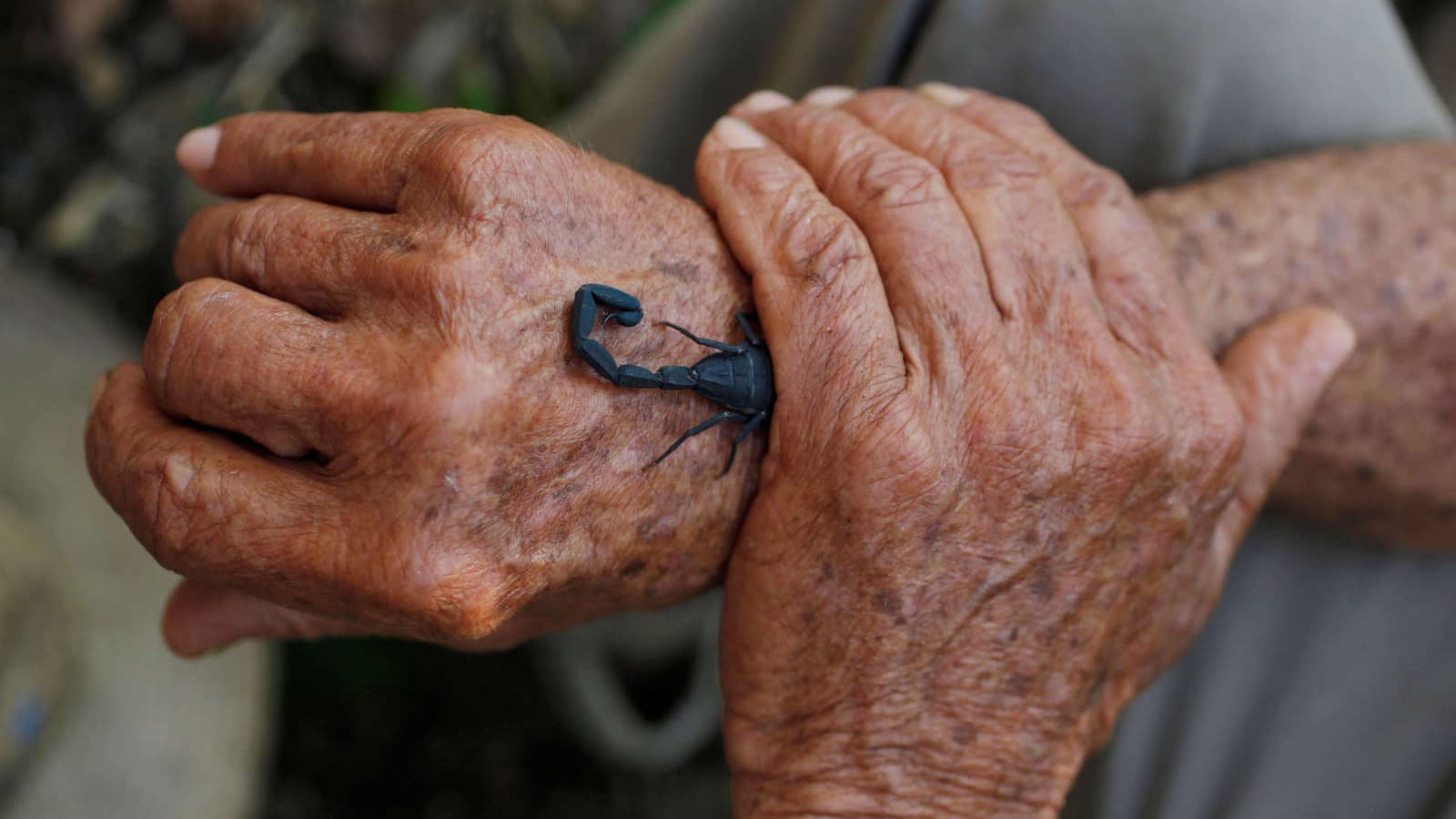 Two hands with a scorpion.