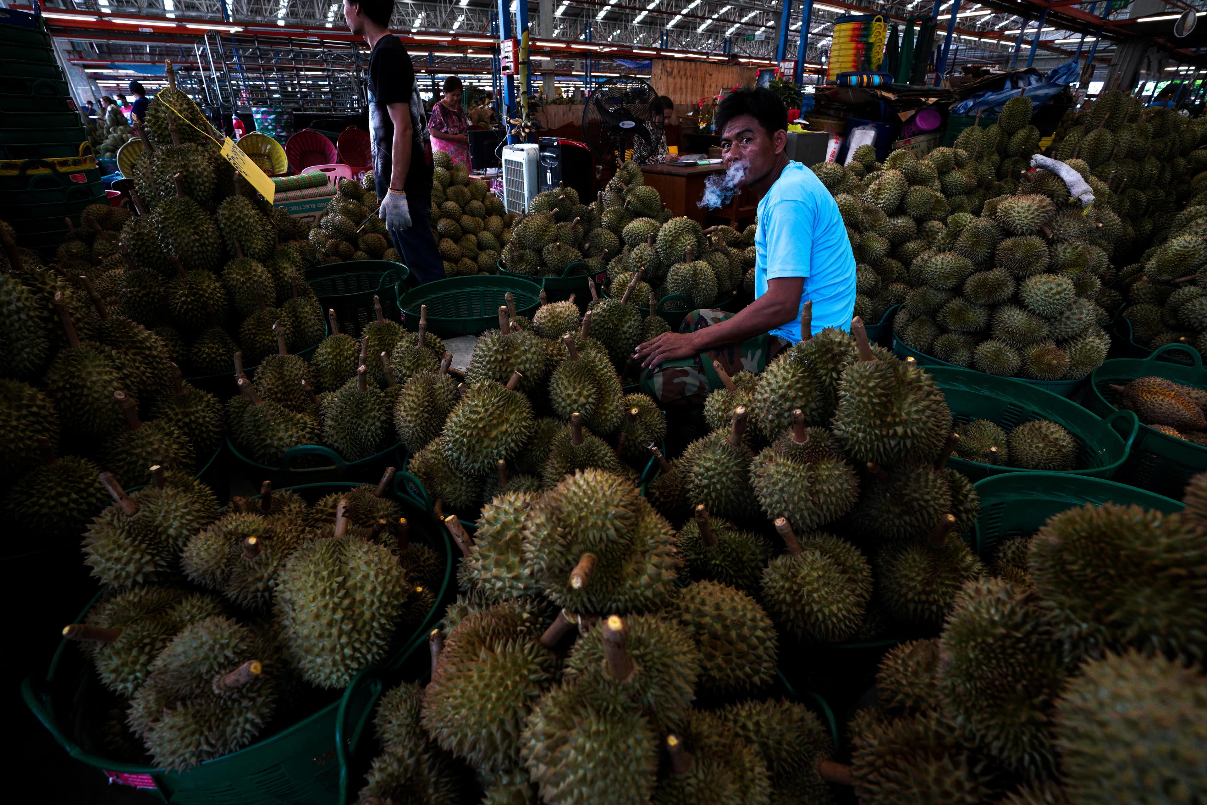 a man in a blue shirt sits around hundreds of durian fruits