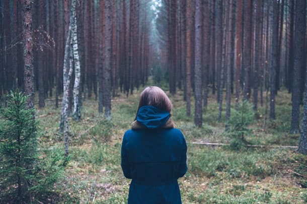 A person walks through the woods surrounded by greenery.