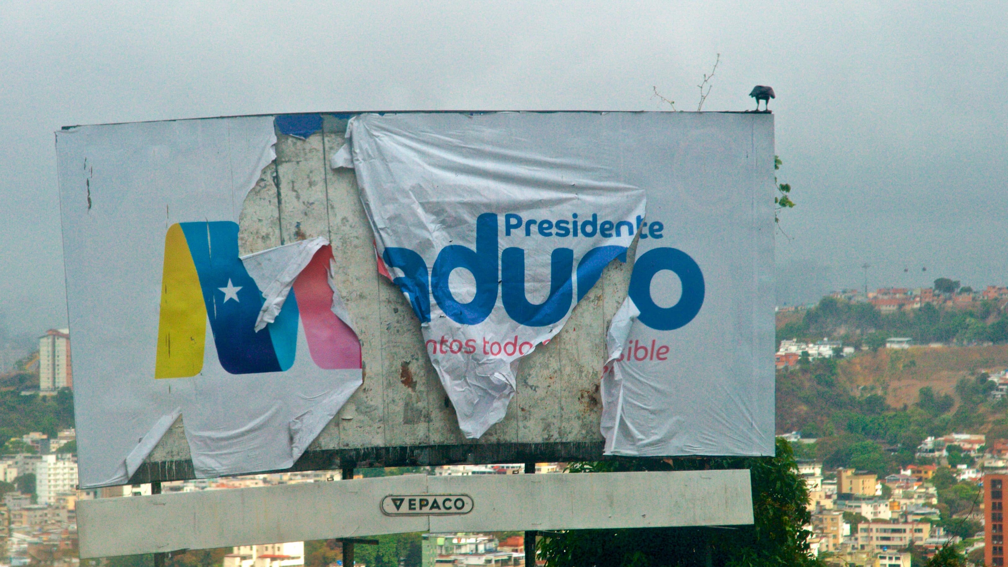 Torn up election sign