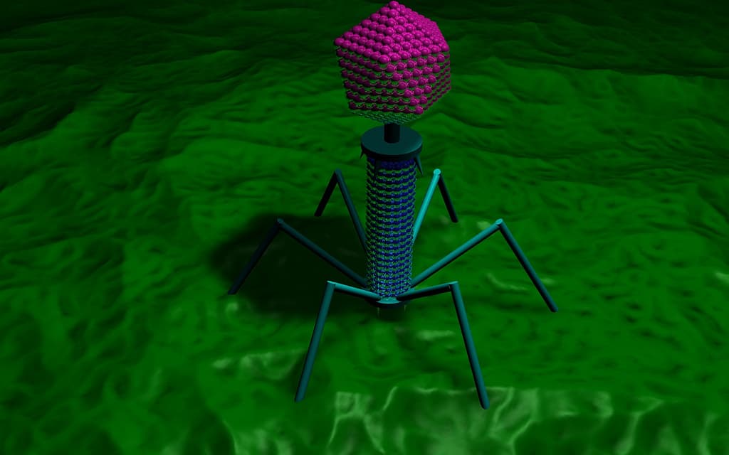 A computer model of a bacteriophage, which looks like a robot bug.