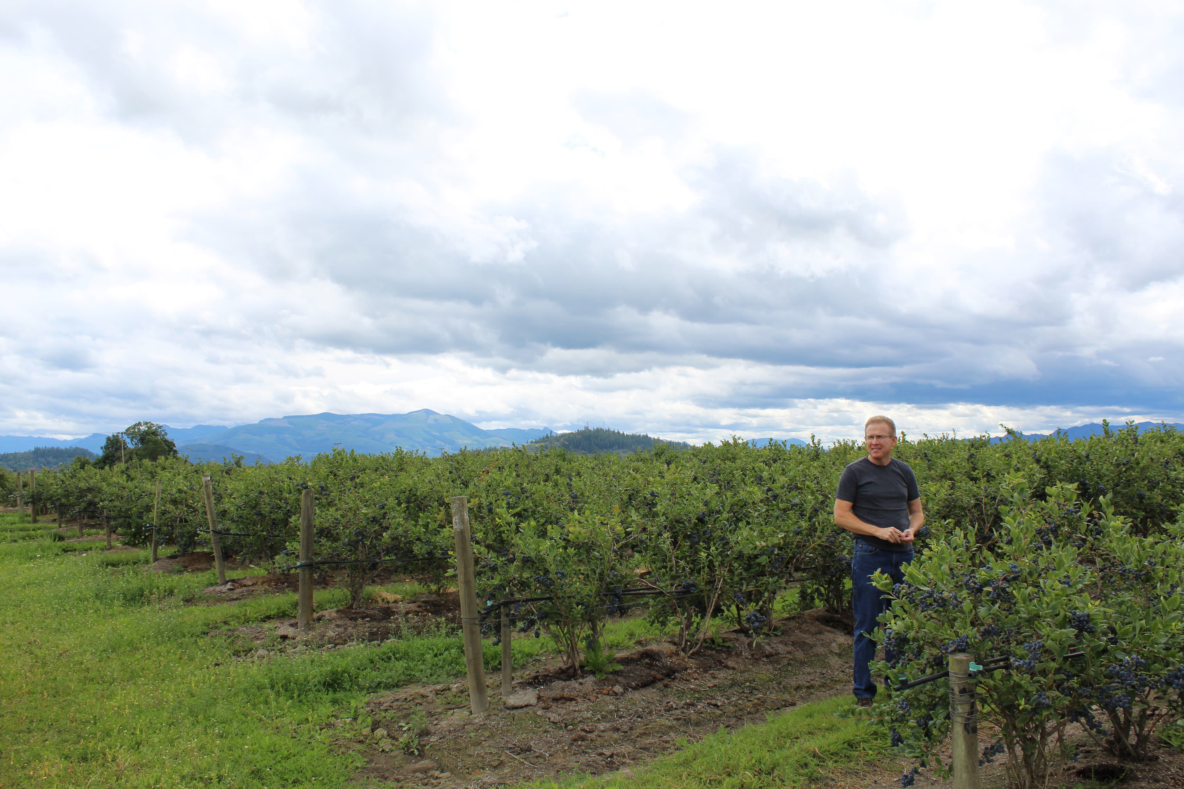 A man in a field, big sky