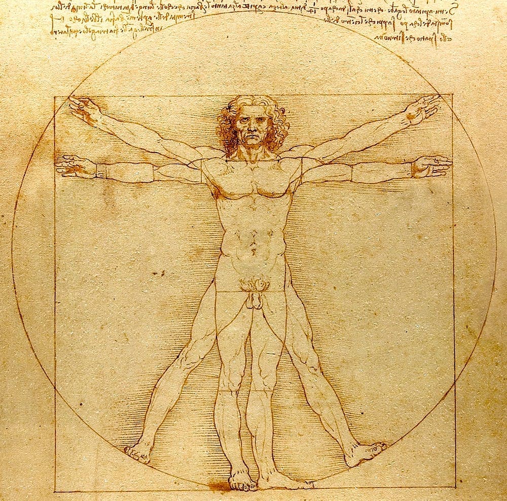 virtuvian man by da vinci