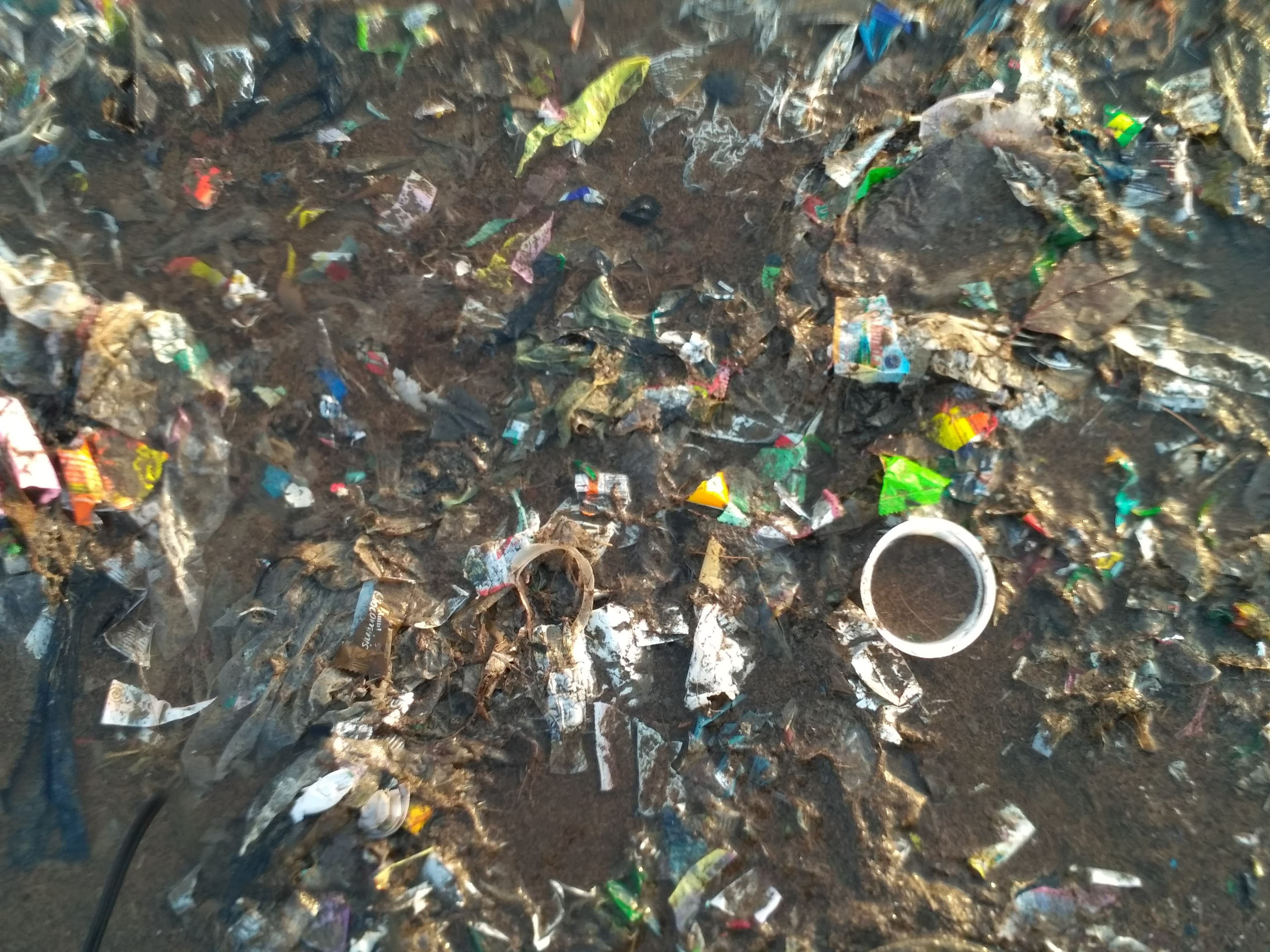 Trash, much of it plastic, embedded in the beach.