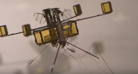 robot insect