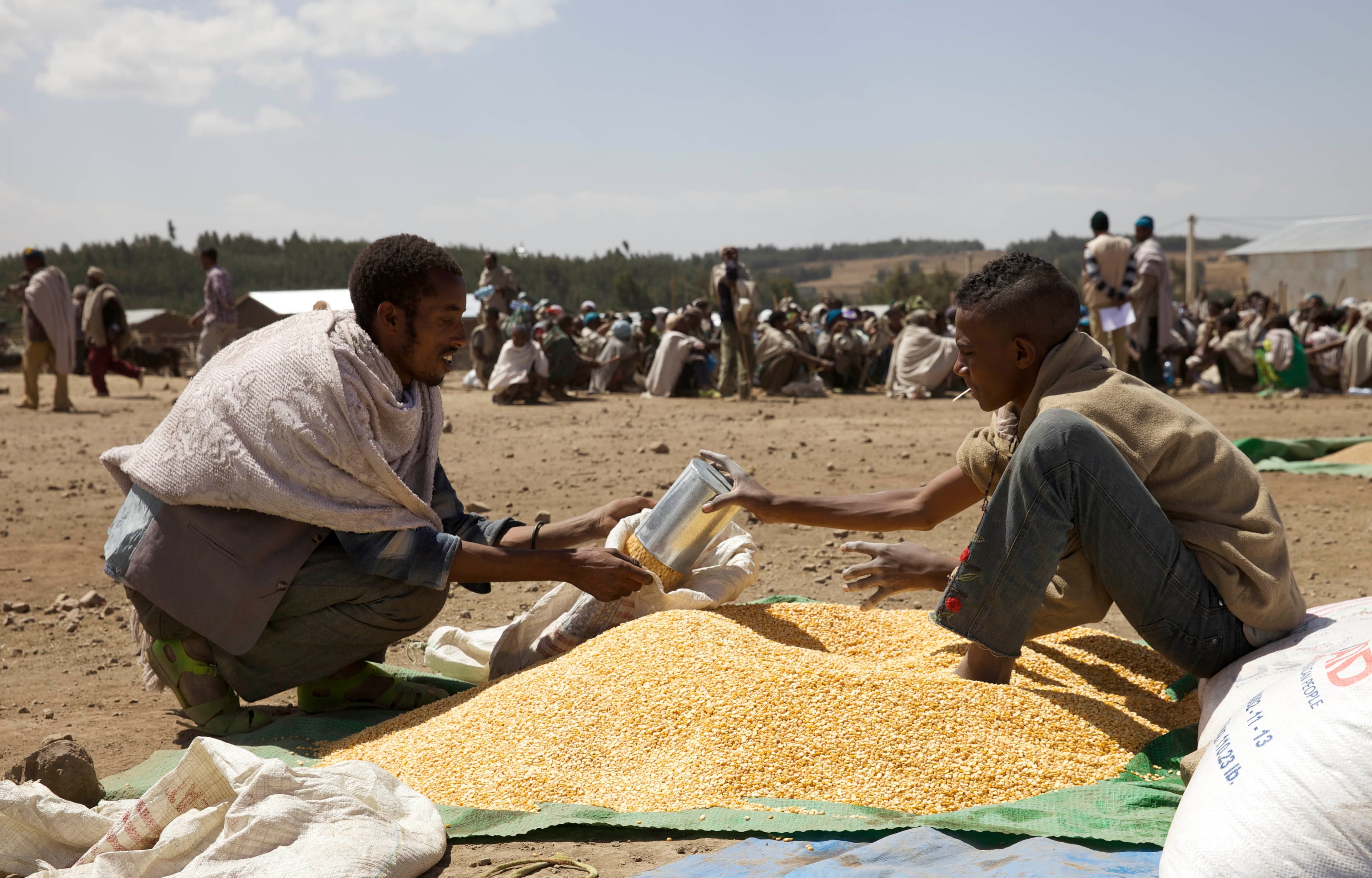A farmer receives grain at an emergency food aid distribution in the village of Estayish in Ethiopia's northern Amhara region, Feb. 11, 2016.