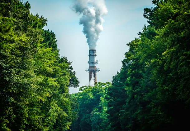 Smokestack and trees