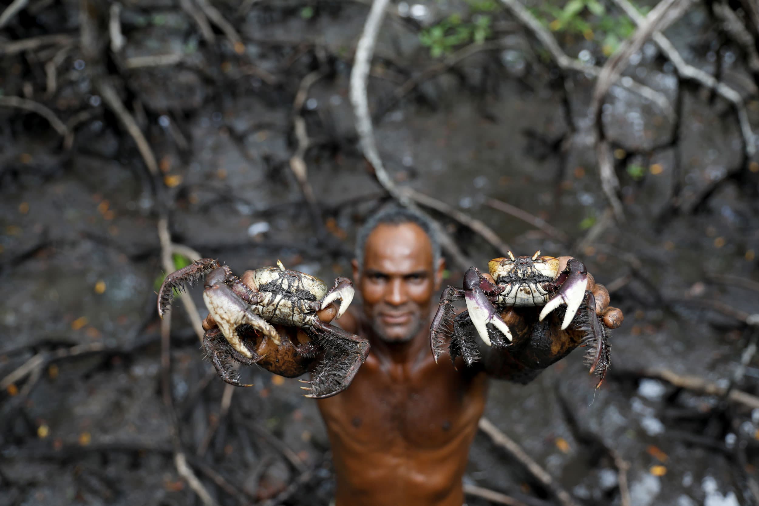 A man is shown without a shirt on holding a crab in each hand above his head.