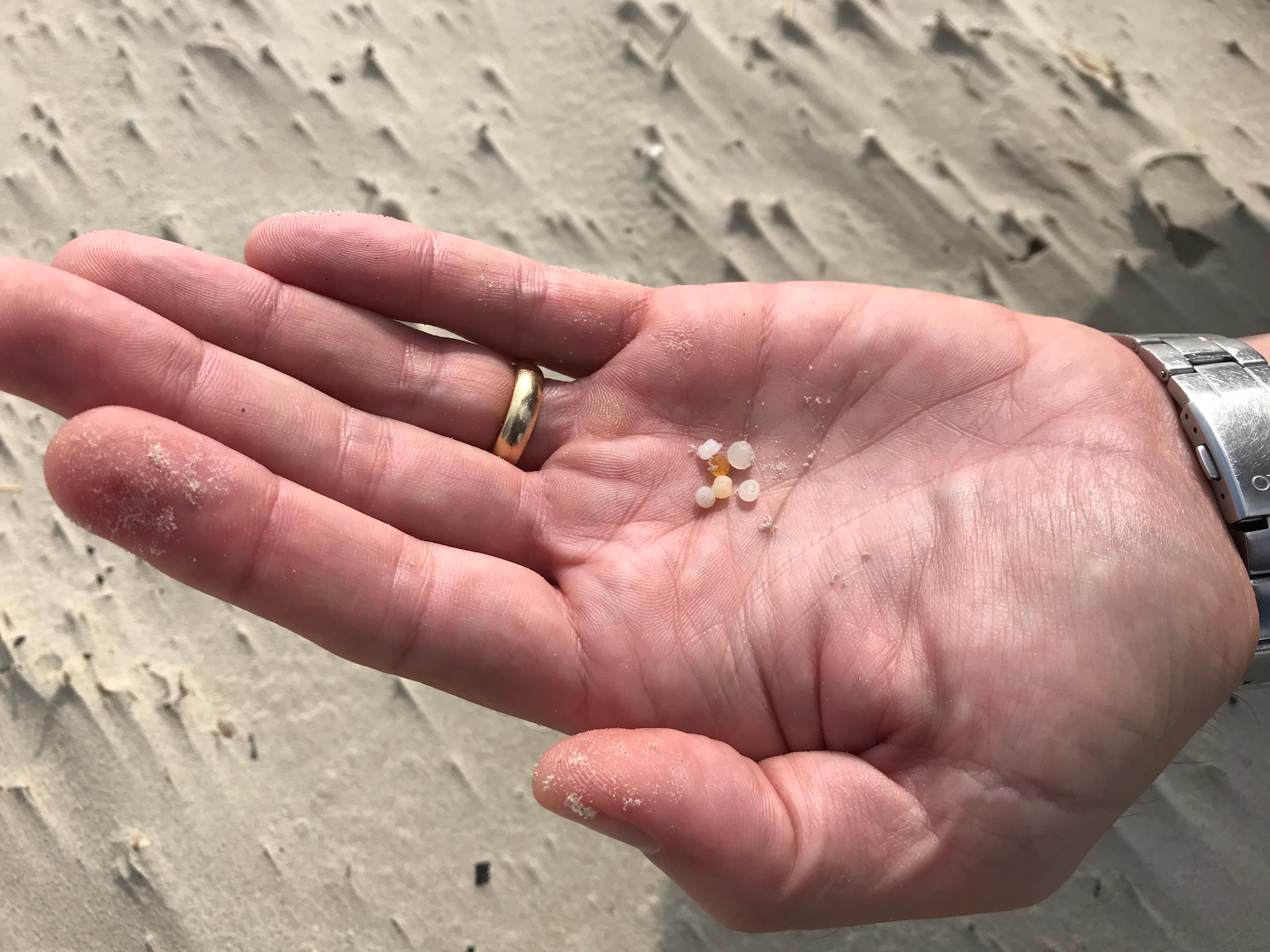 A hand holds small micro-plastics.