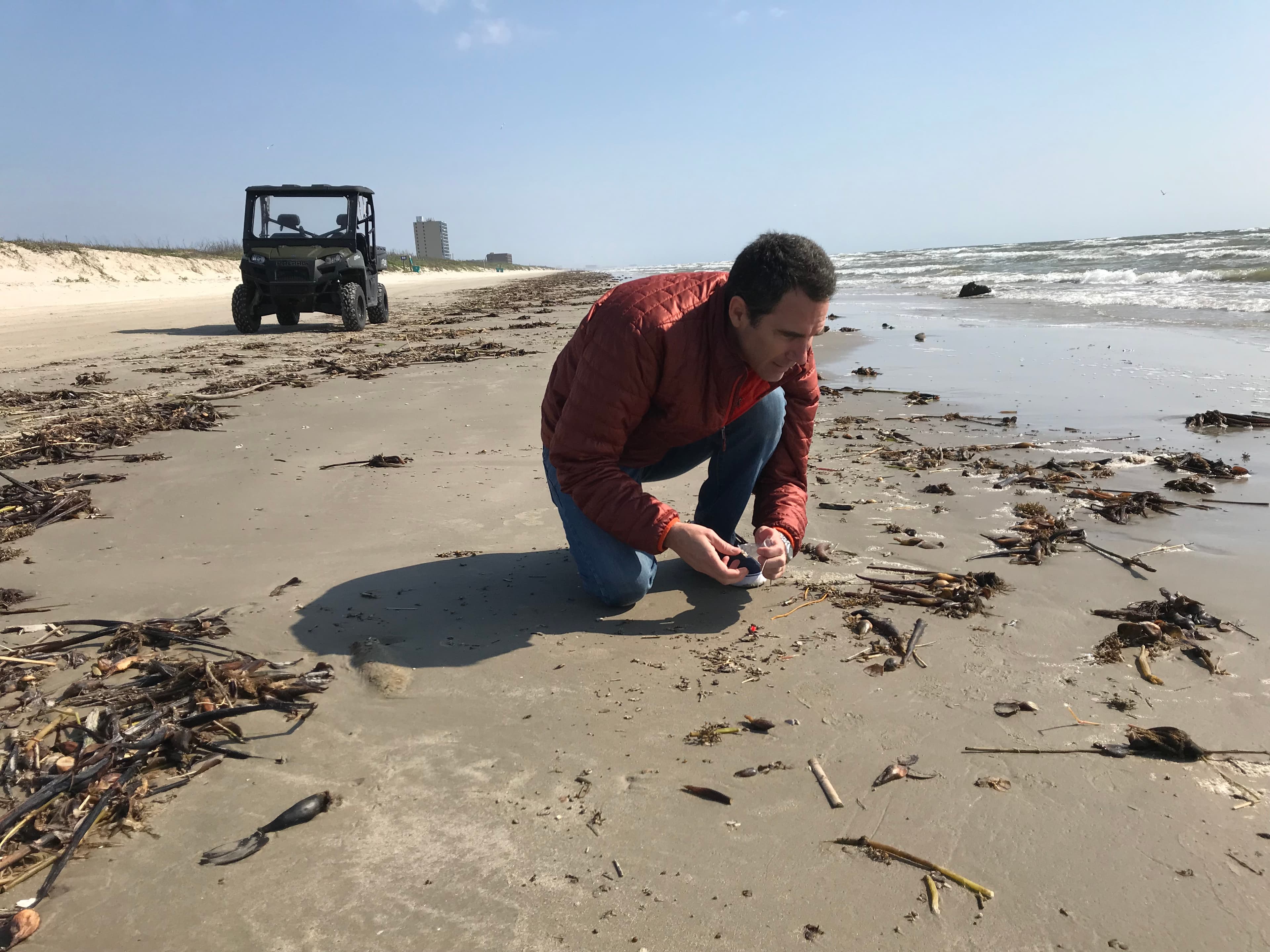 A man looks for micro-plastics on the beach.