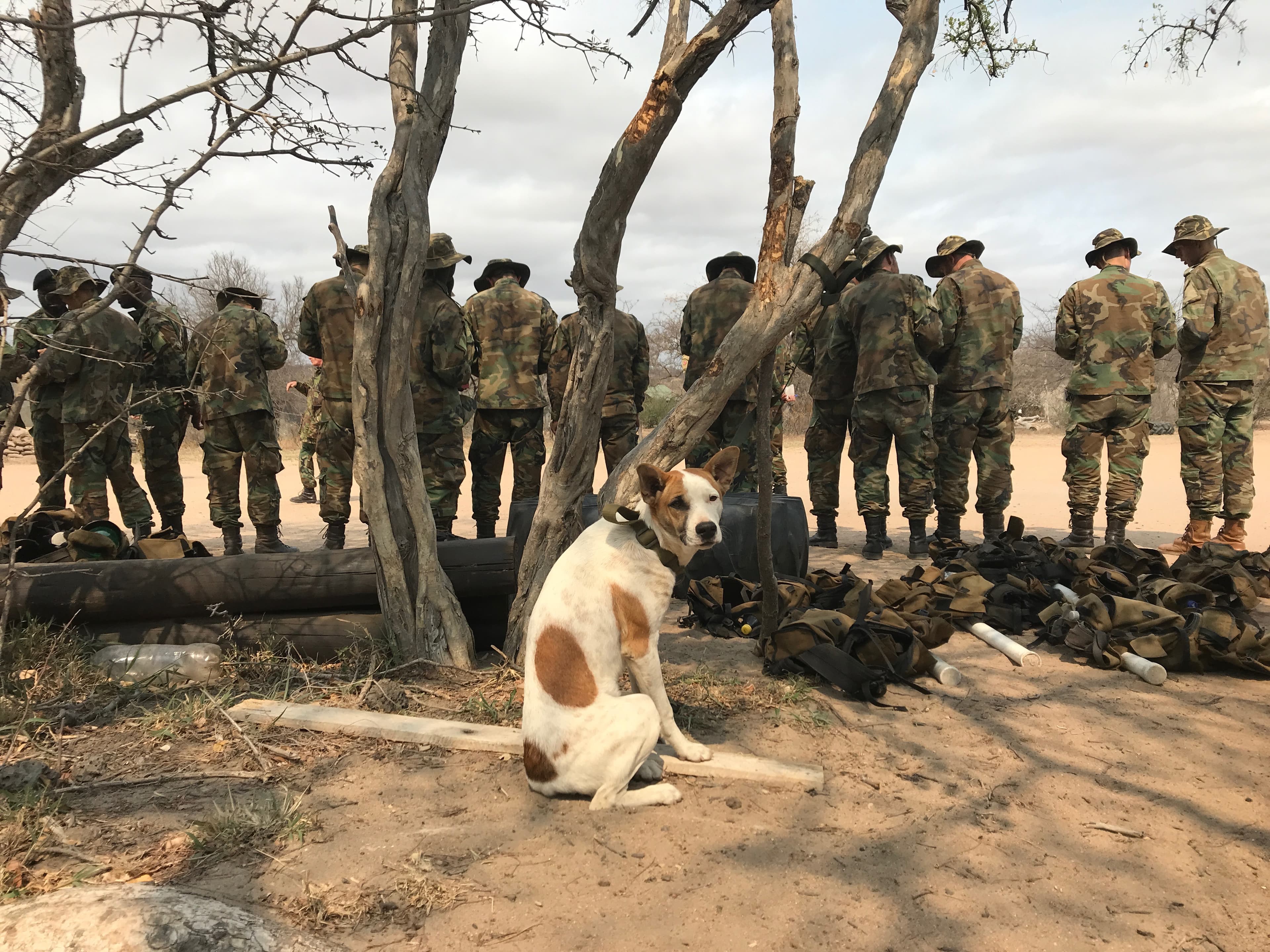students learn how to track poachers