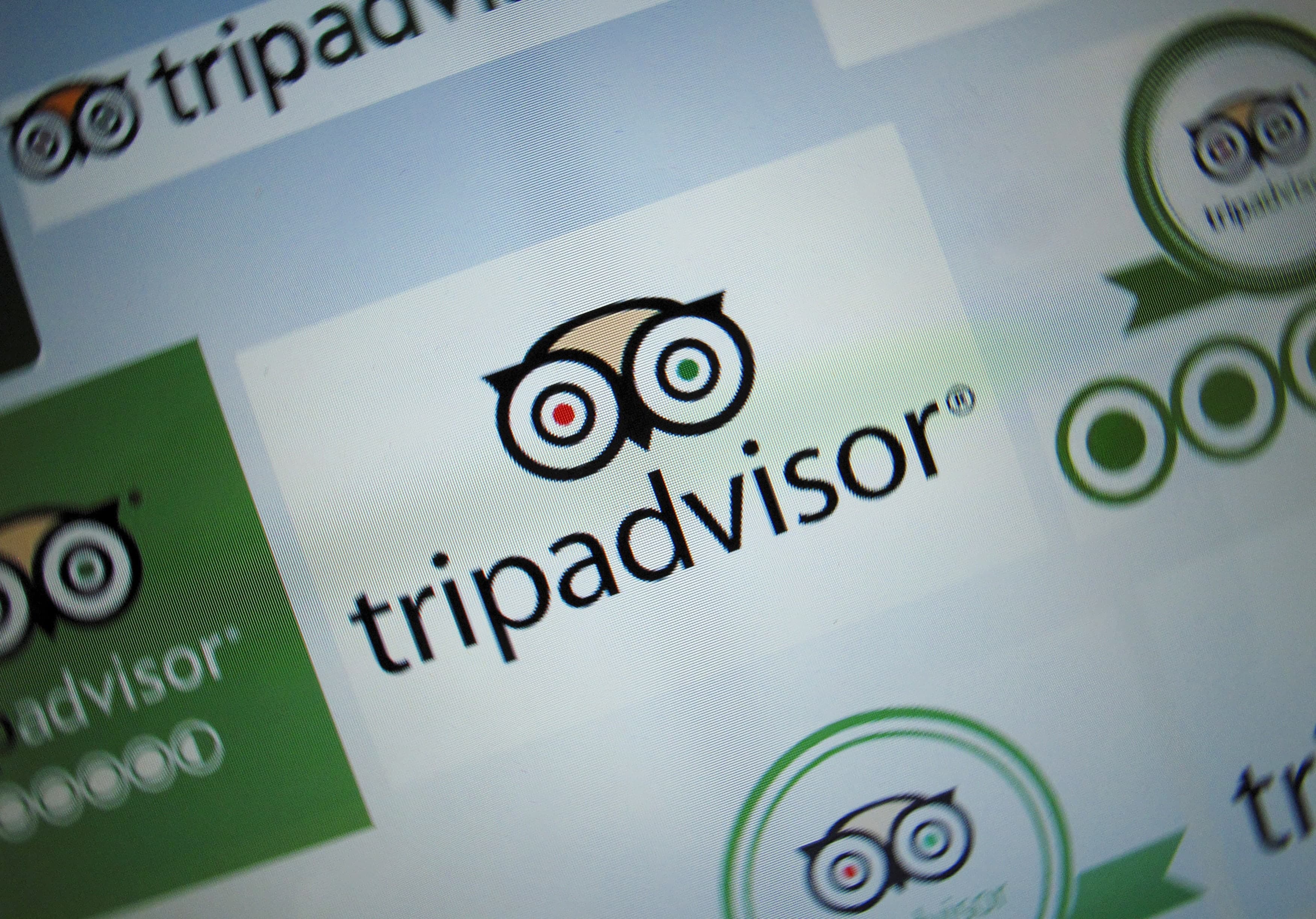 TripAdvisor logo