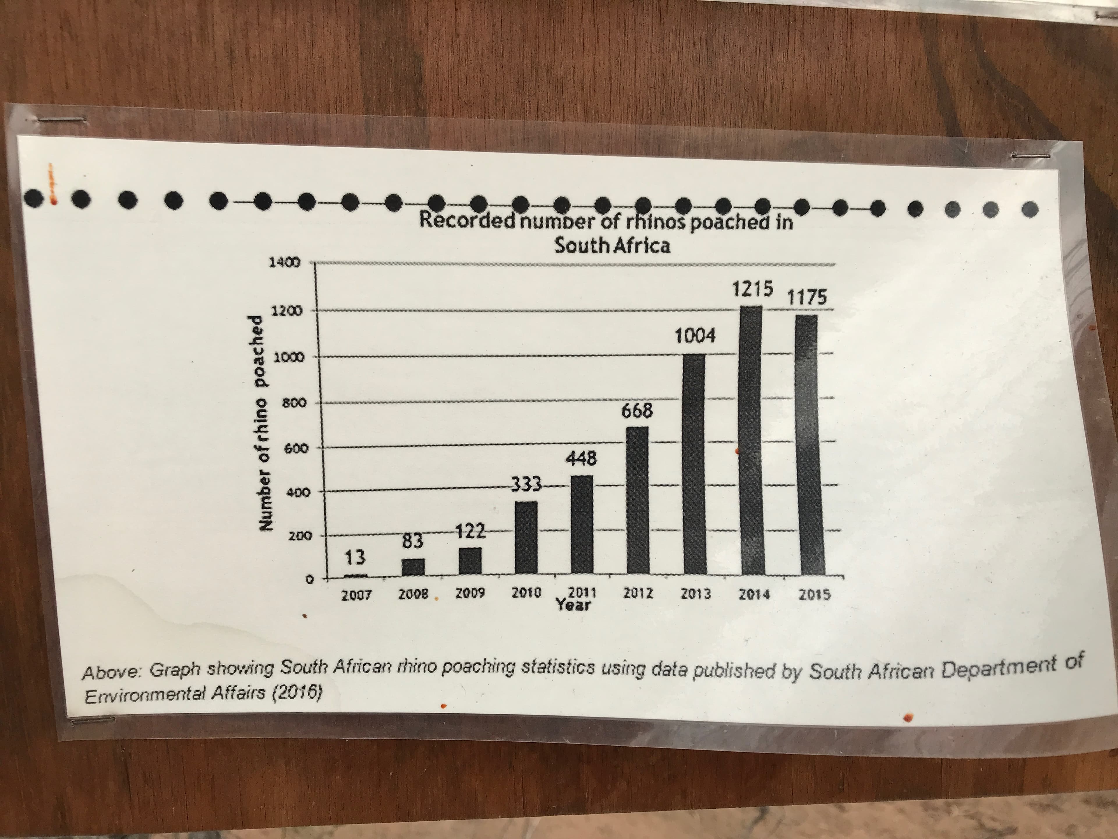 rhino poaching stats