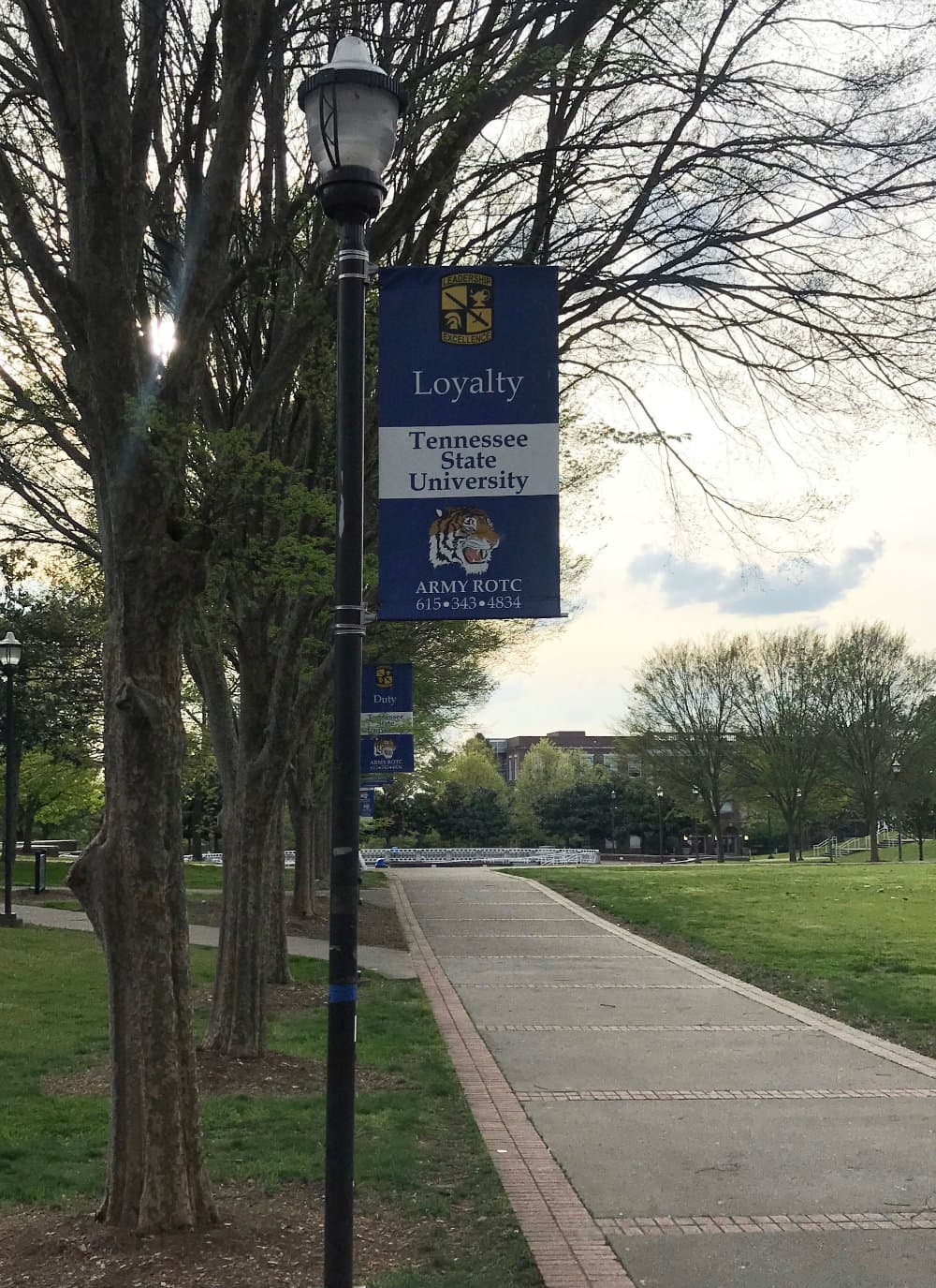 Banner for Tennessee State University