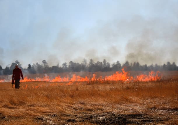 Prescribed burning in Arizona