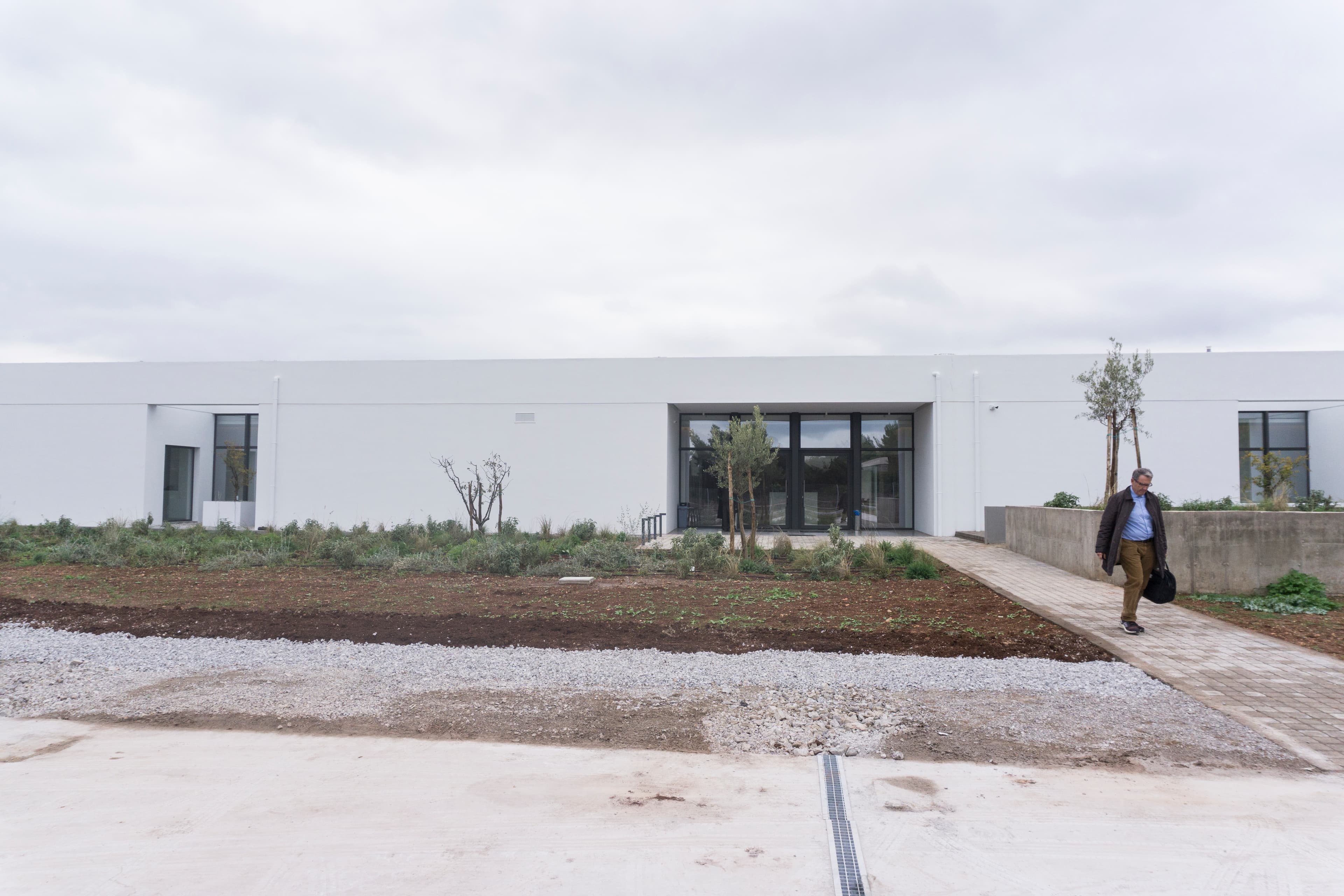 A white building and sidewalk leading up to the doorway with a patch of green garden on the side.