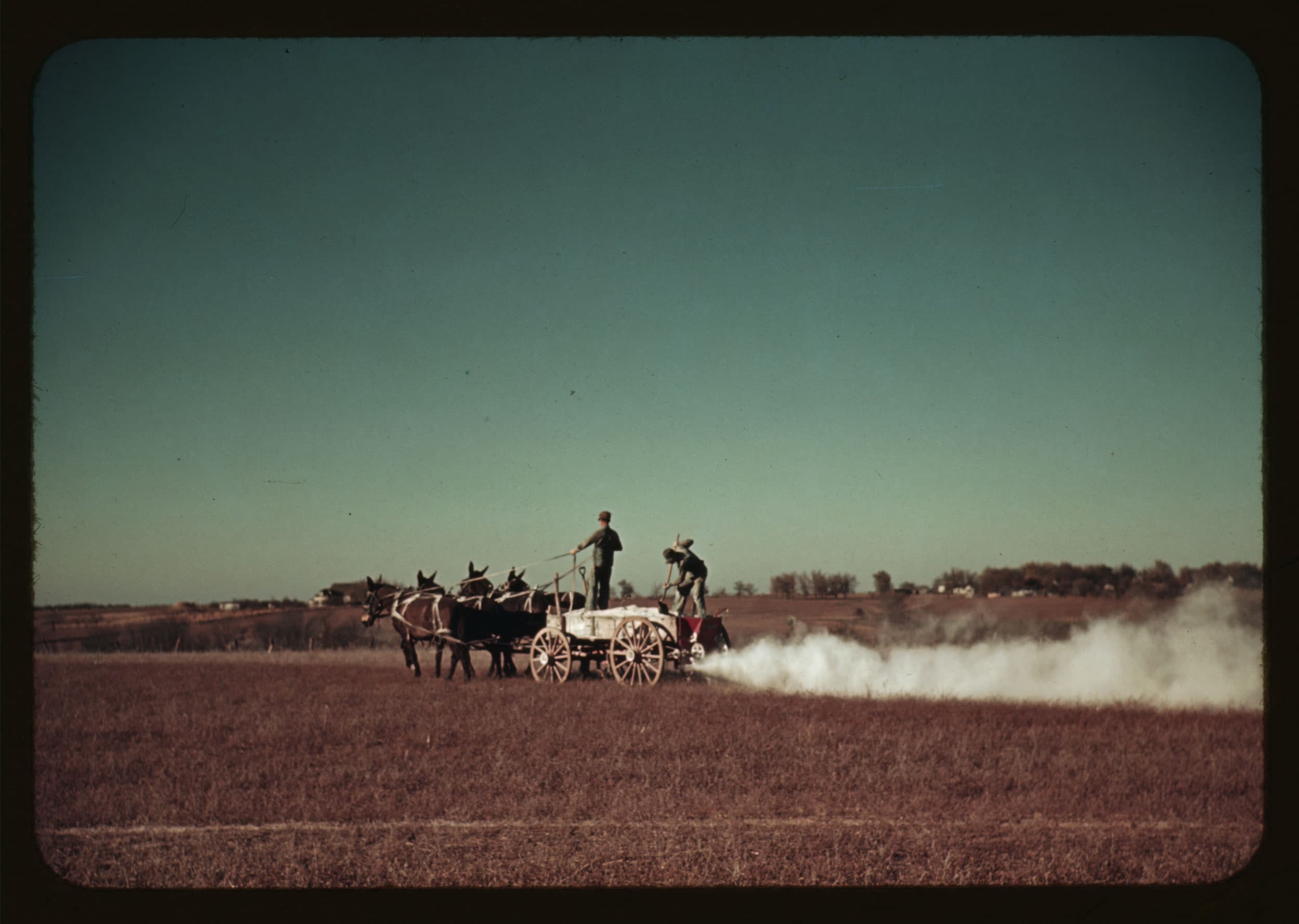 A wooden cart is shown being pulled by mules and with two men on top of the wagon.