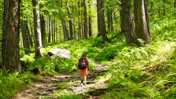 Richard Louv child in forest