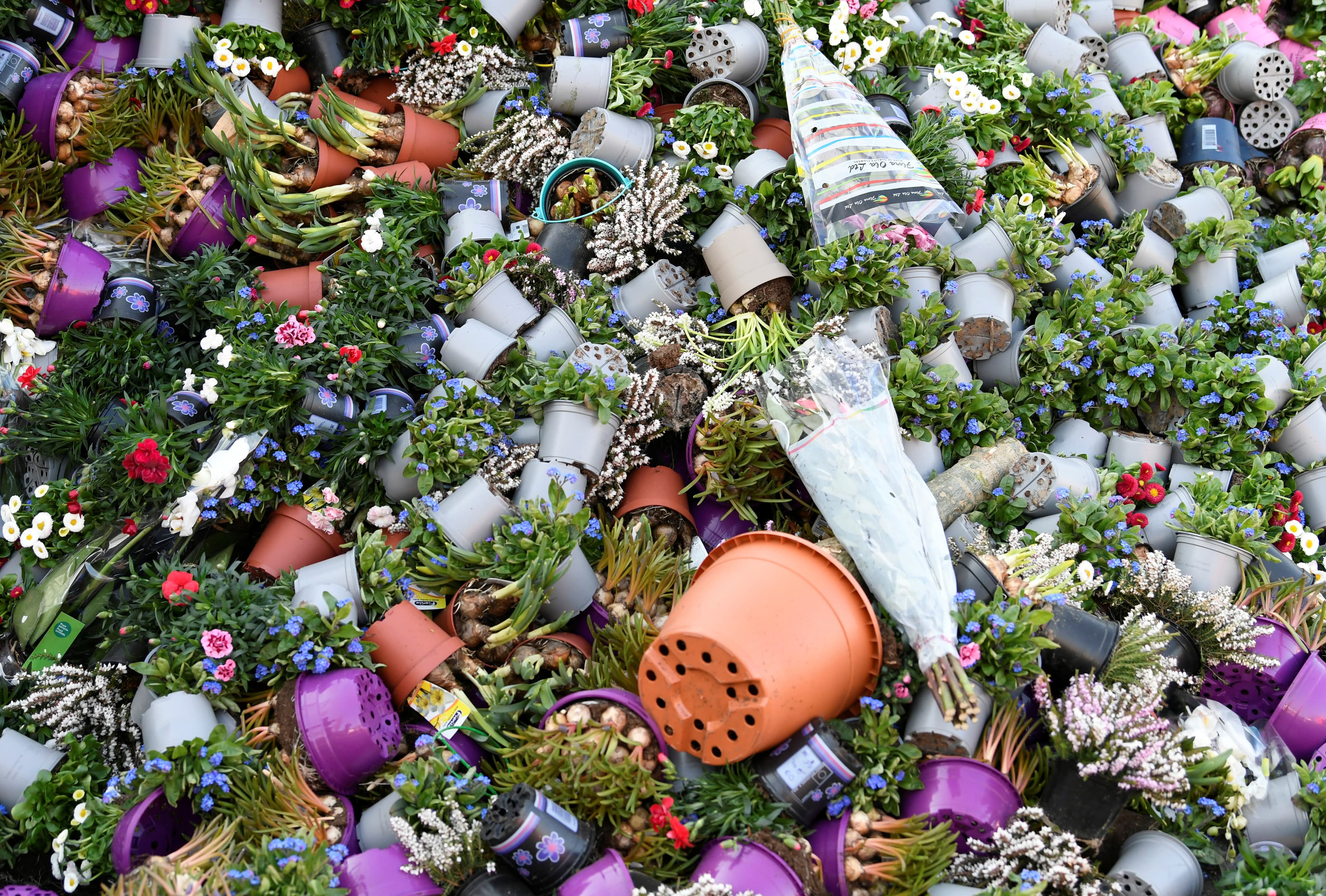 Surplus flowers are destroyed at a waste place next to the flower auction in Honselersdijk, Netherlands, March 27, 2020.