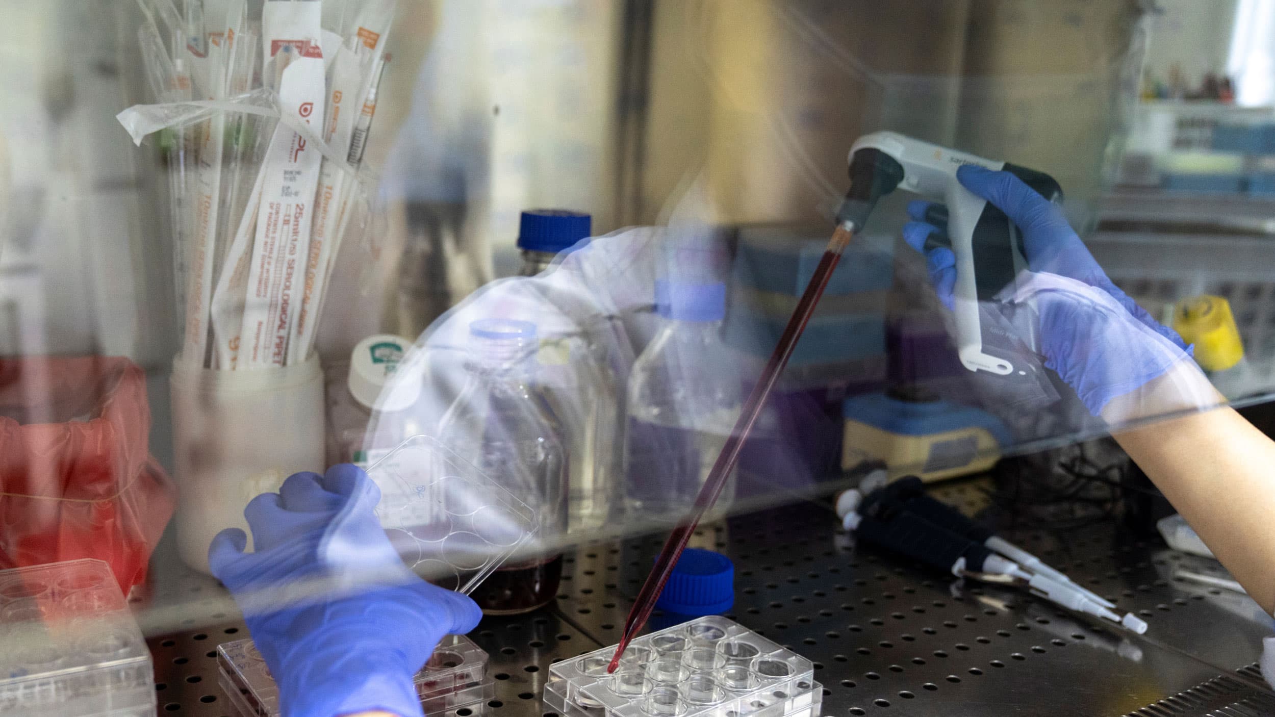 A researcher's hands are shown working with a medical tool with a red liquid inside and through a piece of glass.