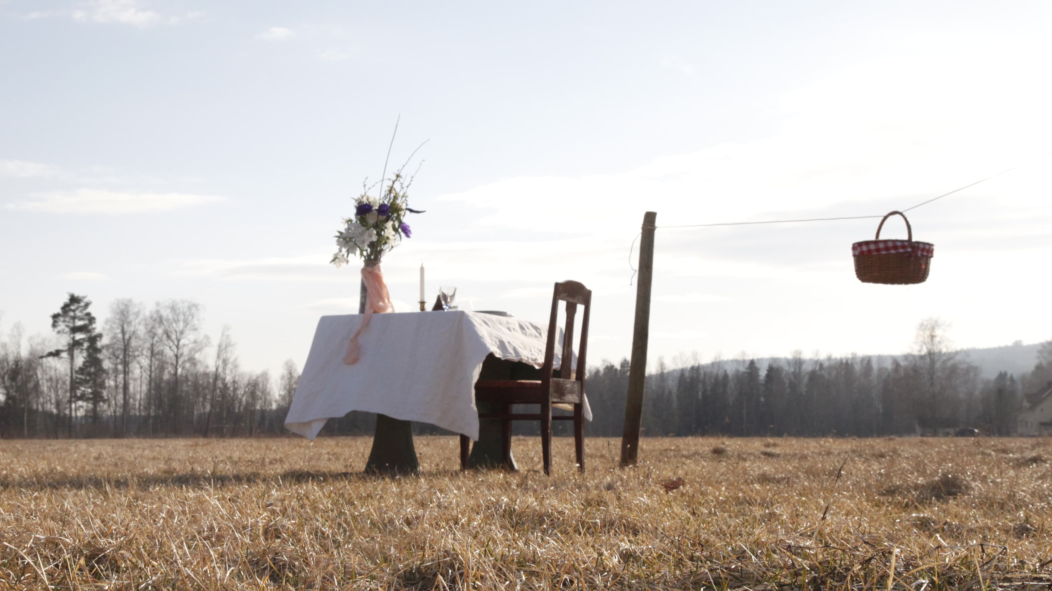 A table and chair in a meadow