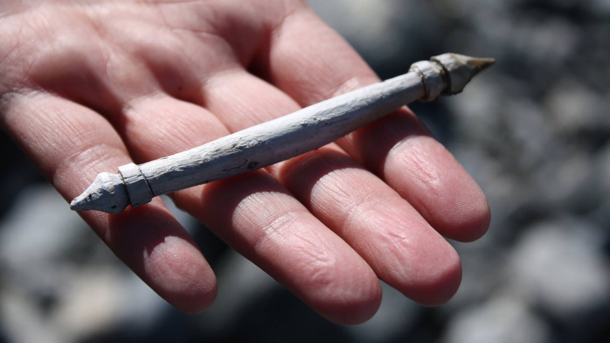 a wooden bit in a palm