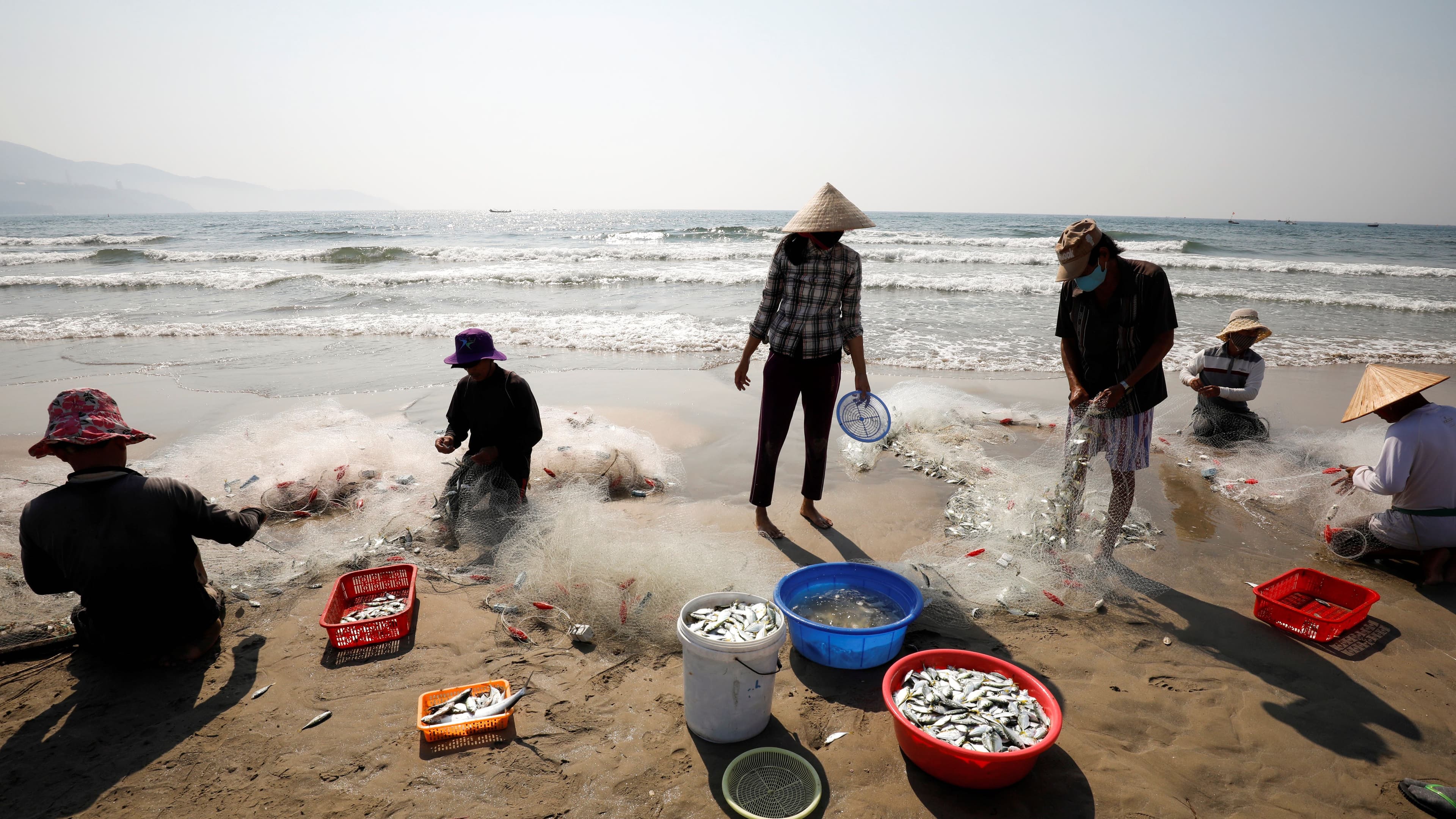 People wearing protective masks collect fishes on a beach during the coronavirus disease (COVID-19) outbreak in Da Nang city, Vietnam, May 6, 2020.