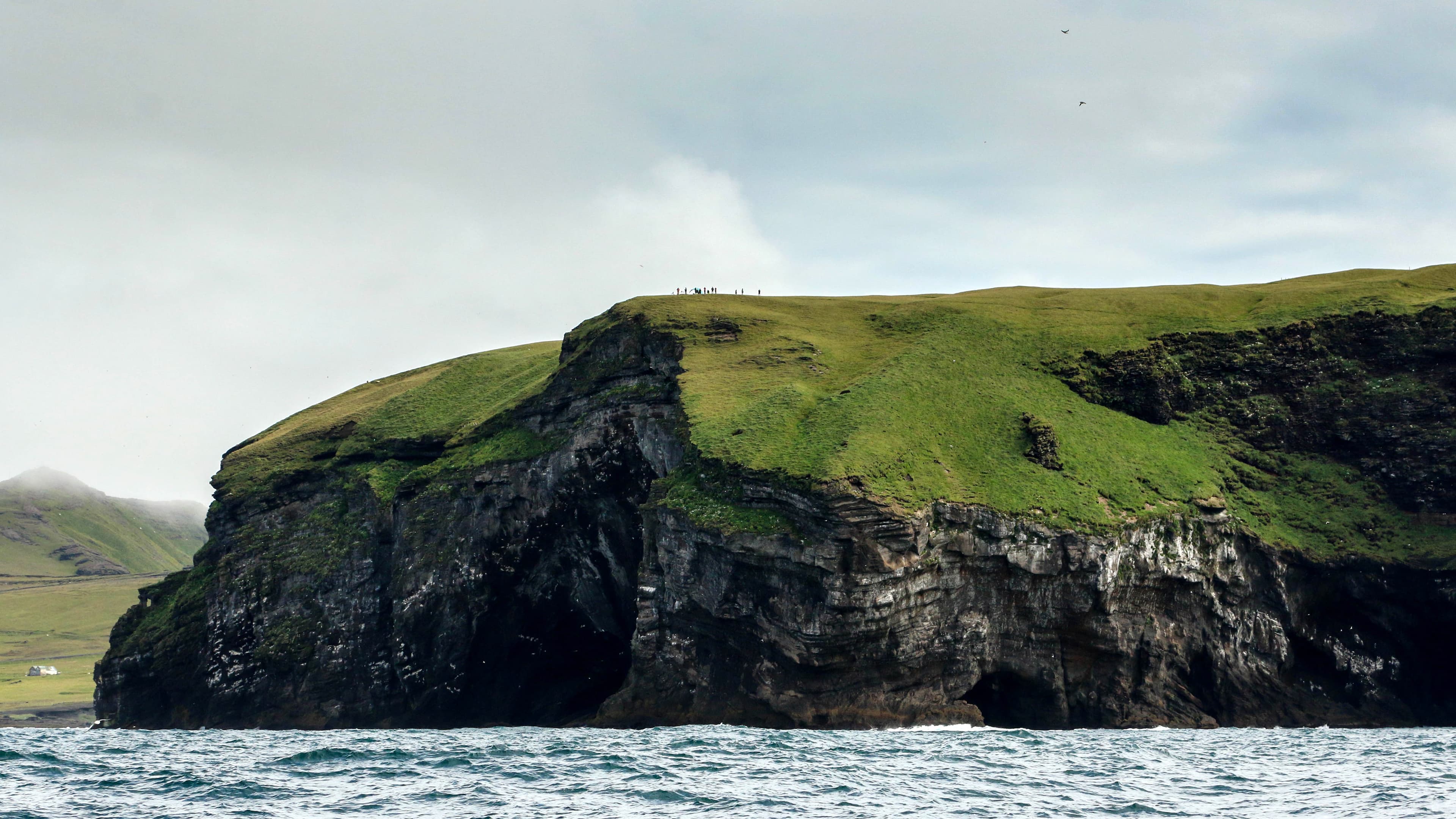 Observers in southern Iceland stand watch, scanning the sea for killer whales. 