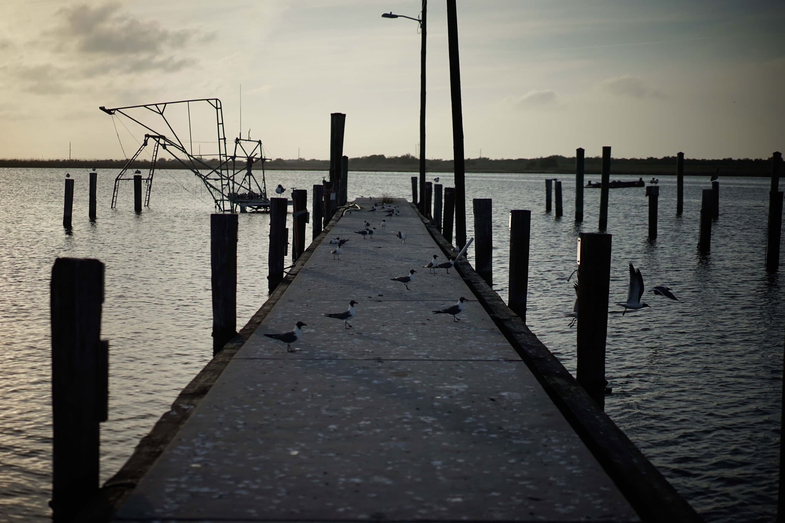 An older dock is shown extending out into the Mississippi River.
