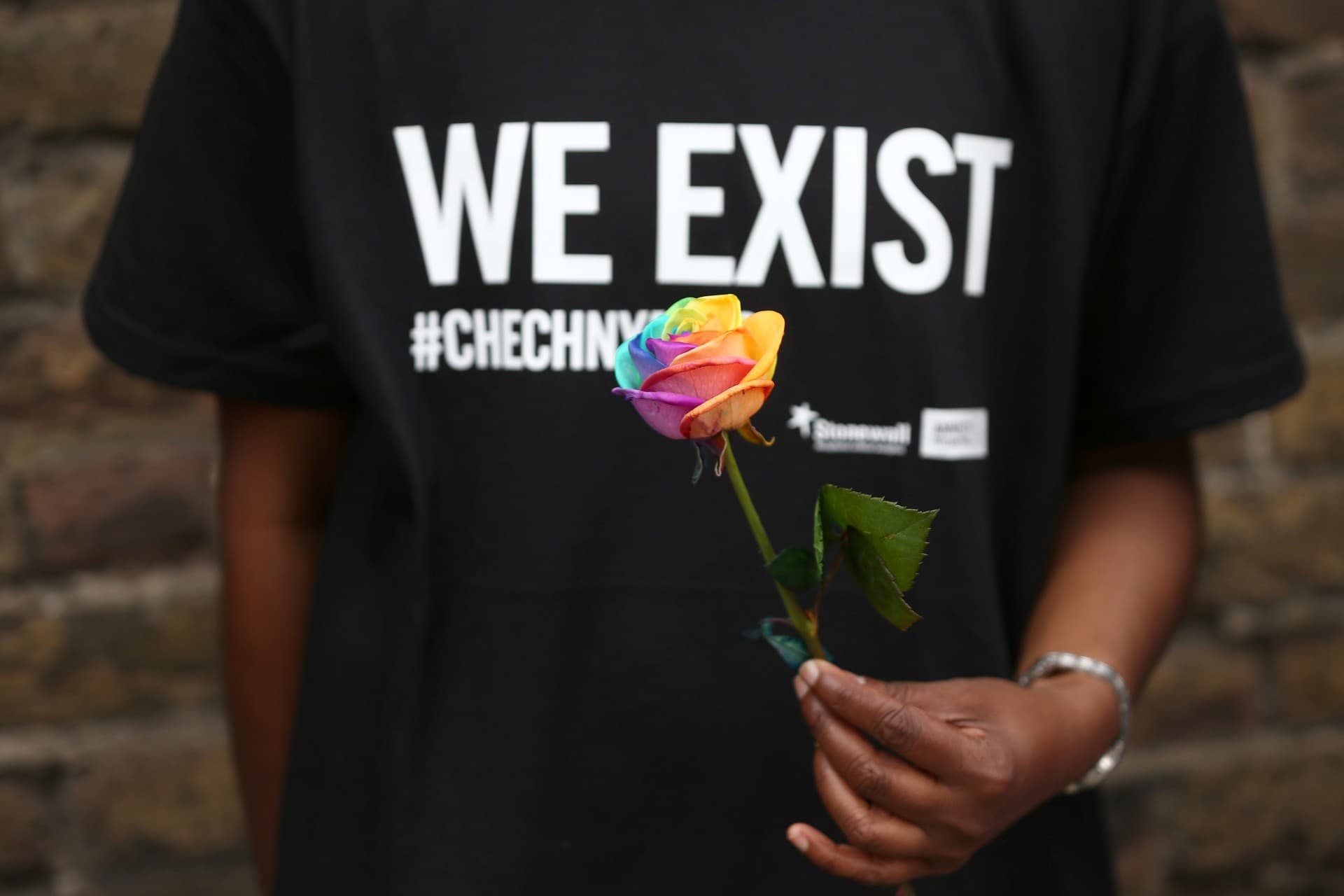 A person is holding a rainbow colored rose.