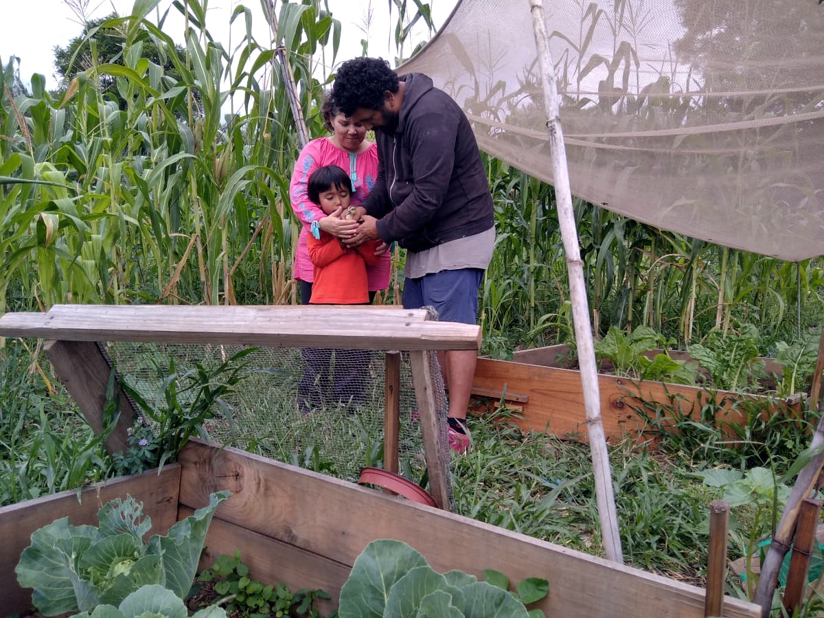 A family works in a garden together.