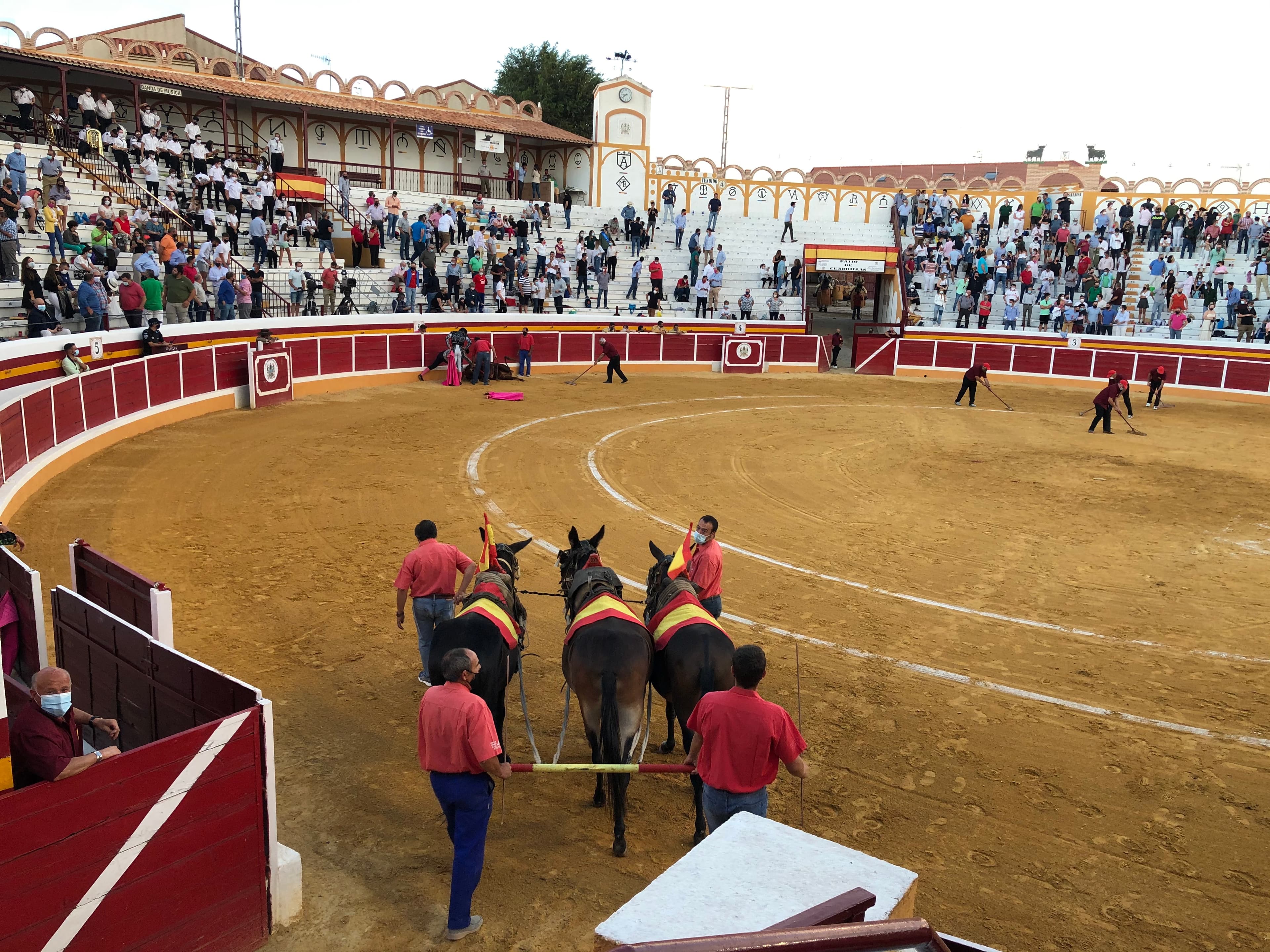 Horses are dispatched to pick up the body of a dead bull.