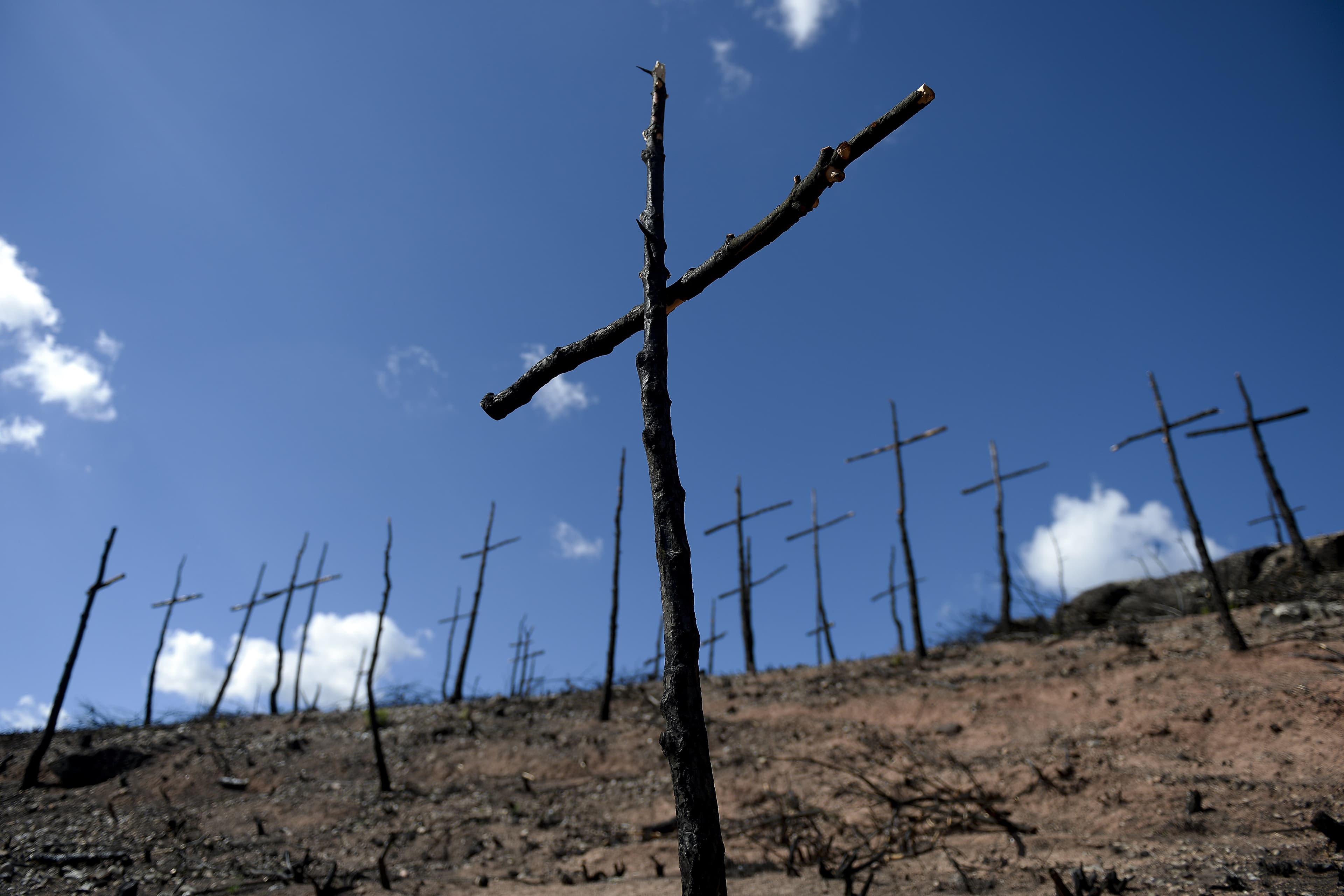 Standing wooden crosses.