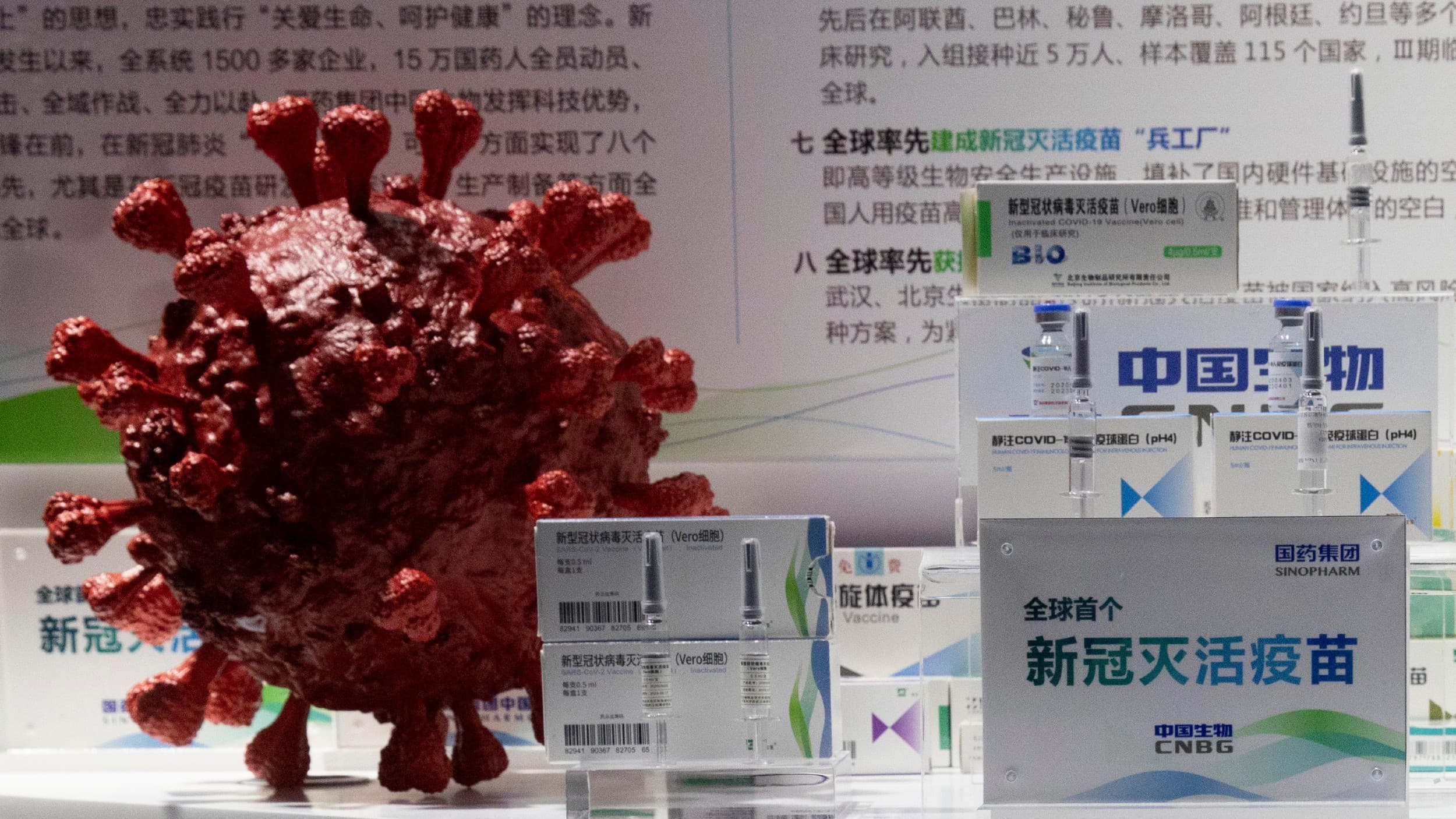 Samples of a COVID-19 vaccine produced by Sinopharm subsidiary CNBG are displayed near a 3D model of a coronavirus during a trade fair in Beijing on Sept. 6, 2020.